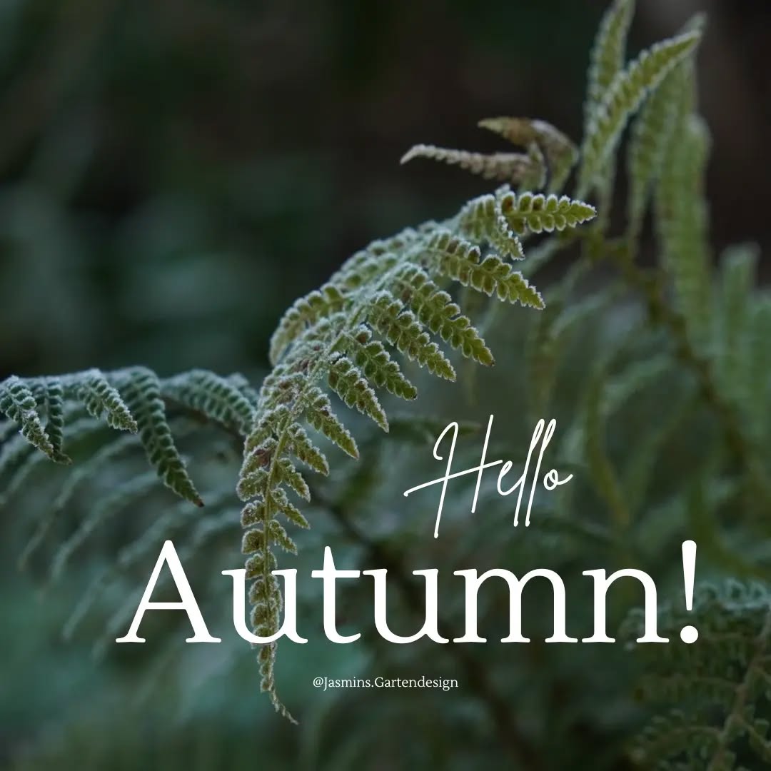 Die bunte Jahreszeit hat begonnen! 🍁 (23.09.2022)
Flora & Fauna bereiten sich langsam auf die kalte Jahreszeit vor. Die entschleunigte Zeit ist perfekt, um mit der Planung für das kommende Gartenjahr zu beginnen.
Hast du schon Pläne & Visionen? 🌱
✏ Eine ausreichende Planung kann dir dabei helfen, einen Überblick über die notwendigen Materialien zu erhalten, besser zu kalkulieren. Außerdem kannst du rechtzeitig Änderungen vornehmen und musst dies nicht während der Umsetzung aufwendig angehen.
➡️ Du benötigst dabei Hilfe?
➡️ Du möchtest dich mit einem Fachplaner austauschen?
Ich freue mich über deine Nachricht!
.
.
.
.
.
.
.
.
.
.
.
.
.
.
.
.
.
.
#Landschaftsarchitektur #landschaftsfotografie #Landschaftsgestaltung #landschaftsarchitektin #Gartengestaltung #gardendesign #gartenjournal #gartenfotografie #Gartenplanung #gartenkonzepte #planungstipps #eigenheimundgarten #eigenheim #Hausgartenplanung #hausbau #hausbau2022 #gartentipps #Beratung #pflanzkonzepte #pflanzenfotografie