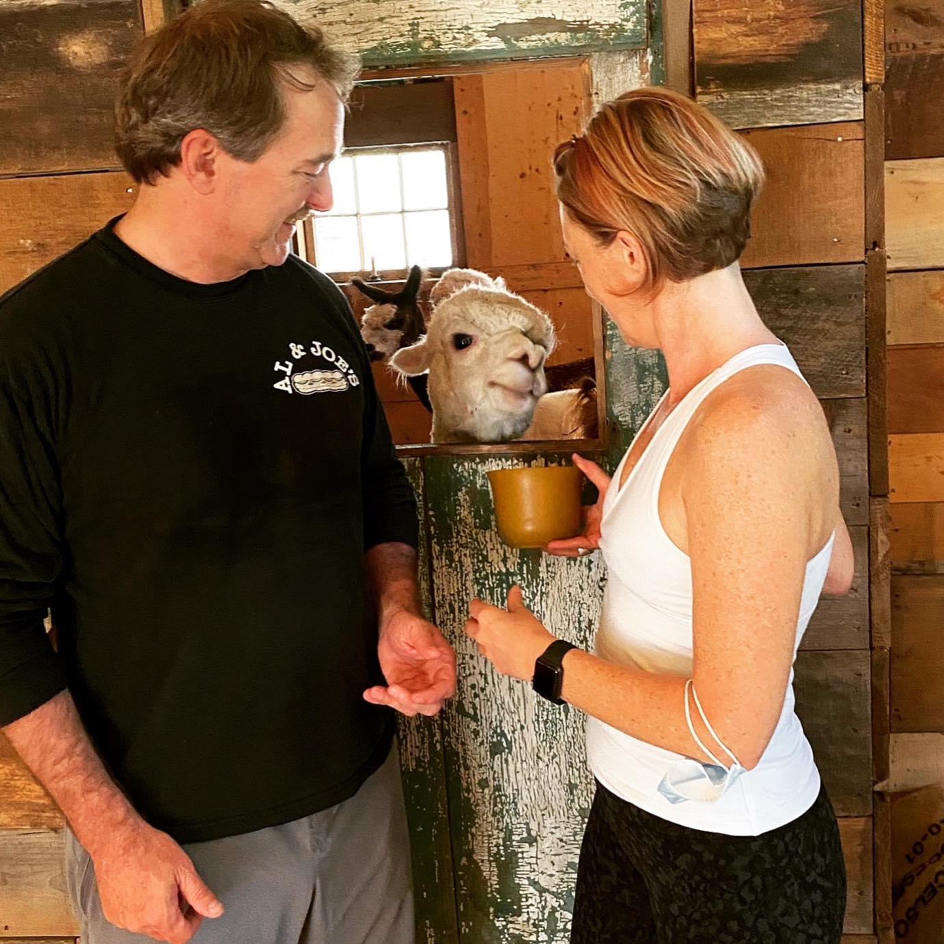 Ever been curious about Pilates but not sure where to start?
Our Mat Pilates class at Lulu’s Barn is the perfect place to try it for the first time. No intimidating gym, no pressure to “know what you’re doing.” Just a small, welcoming class where you can move, breathe, and feel stronger — all inside a cozy barn studio (with alpacas occasionally peeking in 🦙).
Mat Pilates focuses on building core strength, improving posture, and creating long, lean muscle through slow, controlled movements. It’s low-impact but incredibly effective — you’ll leave feeling both energized and grounded.
Whether you’re brand new to Pilates or just looking for a midweek reset, this class meets you exactly where you are.
Wednesdays at 5:30 PM
Lulu’s Barn • Westport Island
Come try something new. Your core will thank you.
Go to the yoga in the barn tab - link in bio.
#pilates #mainewellness #corestrength #westportislandmaine #movementismedicine