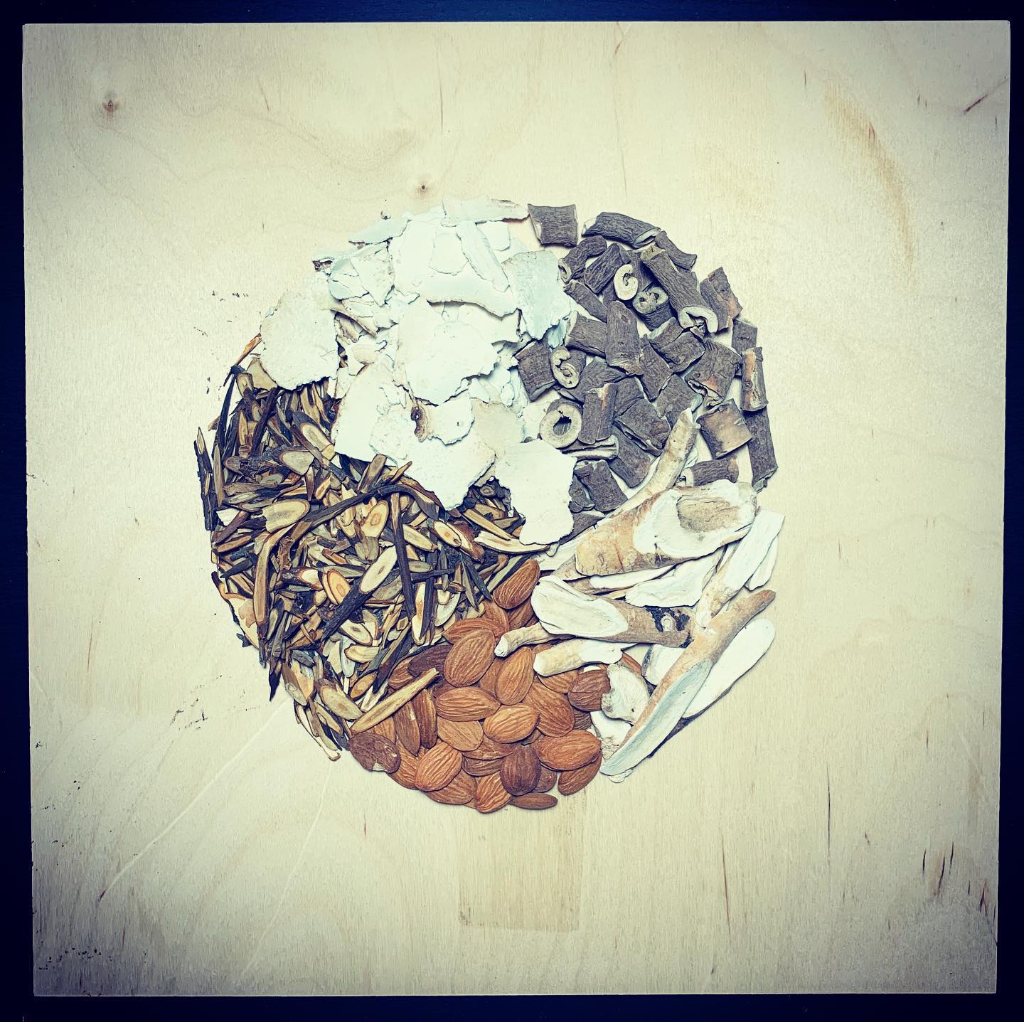 “Gui Zhi Fu Ling Wan” to regulate and invigorate the blood to dispel blood stasis in the womb/uterus #guizhifulingwan #traditionalchinesemedicine #herbalmedicine #alternativemedicine #herbology #orientalmedicine #herbs #acupuncture #한의사 #한약 #계지복령환 #한의대생