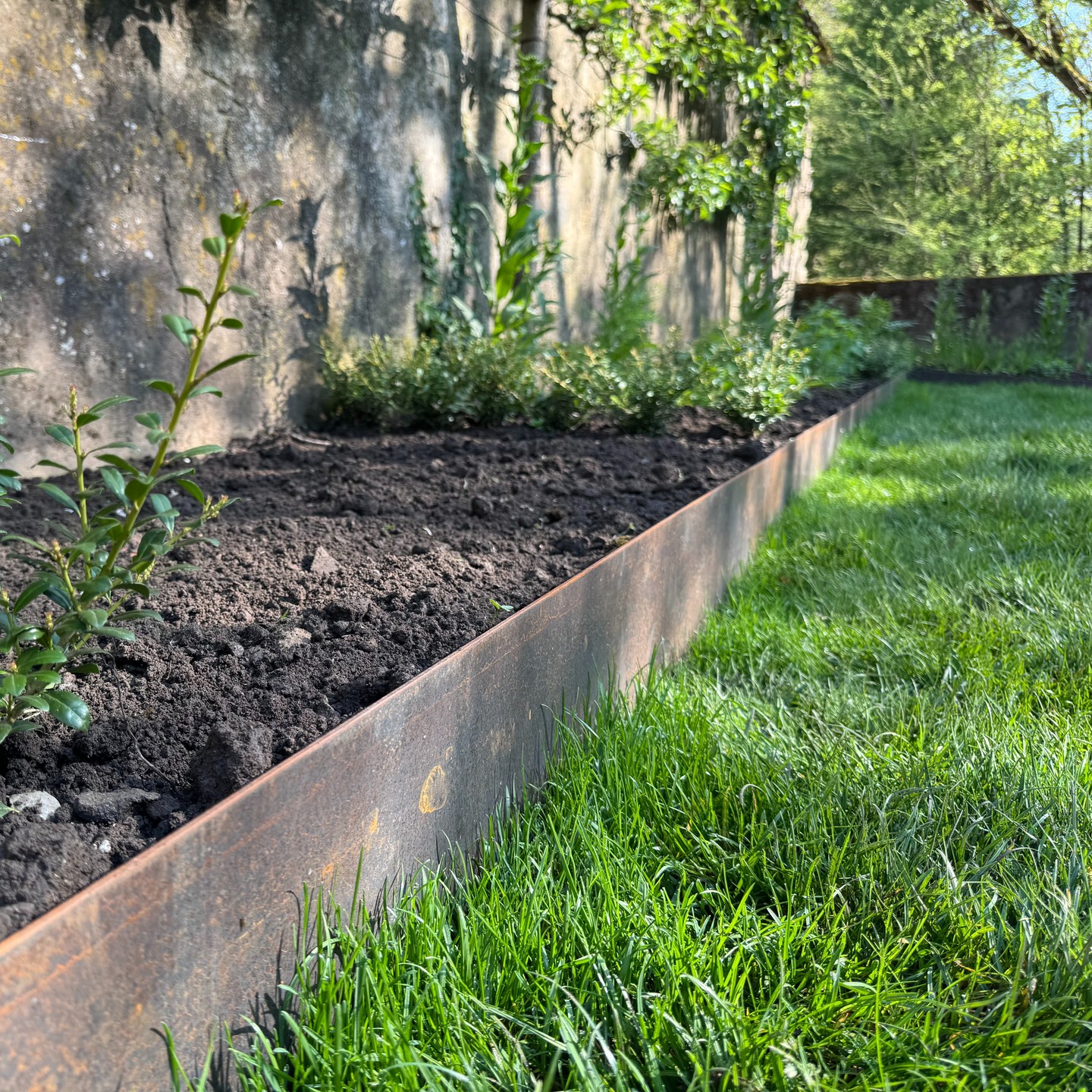 Bordures en acier Corten
Structurez vos aménagements extérieurs avec des bordures élégantes et durables.
L’acier Corten développe une patine rouillée naturelle qui protège le métal et donne un style unique au jardin.
✔ séparation propre entre pelouse, gravier et massifs
✔ design moderne et intemporel
✔ installation simple et durable
Disponible en différentes hauteurs.
Fabrication robuste – idéal pour jardins privés et projets paysagers.
📩 Contactez-nous pour plus d’informations.
Rasenkanten aus Cortenstahl
Strukturieren Sie Ihren Garten mit eleganten und langlebigen Rasenkanten aus Cortenstahl.
Der Stahl entwickelt mit der Zeit eine natürliche Rostpatina, die das Material schützt und dem Garten einen besonderen Charakter verleiht.
✔ saubere Trennung zwischen Rasen, Kies und Beeten
✔ modernes, zeitloses Design
✔ einfache und langlebige Installation
In verschiedenen Höhen erhältlich.
Robuste Ausführung – ideal für Privatgärten und Landschaftsbau.
📩 Kontaktieren Sie uns für weitere Informationen.
