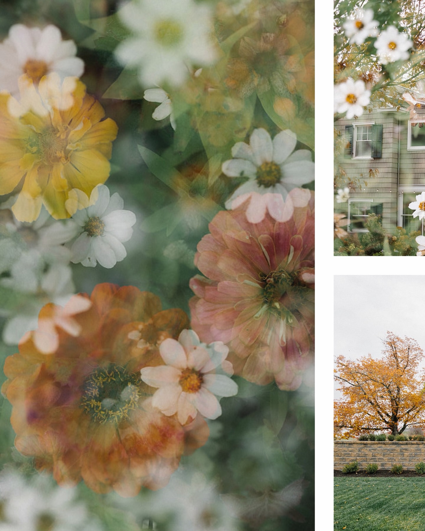 Hillcrest house was beautiful in the fall but I can’t wait to see how it comes alive in the spring!!!🌸