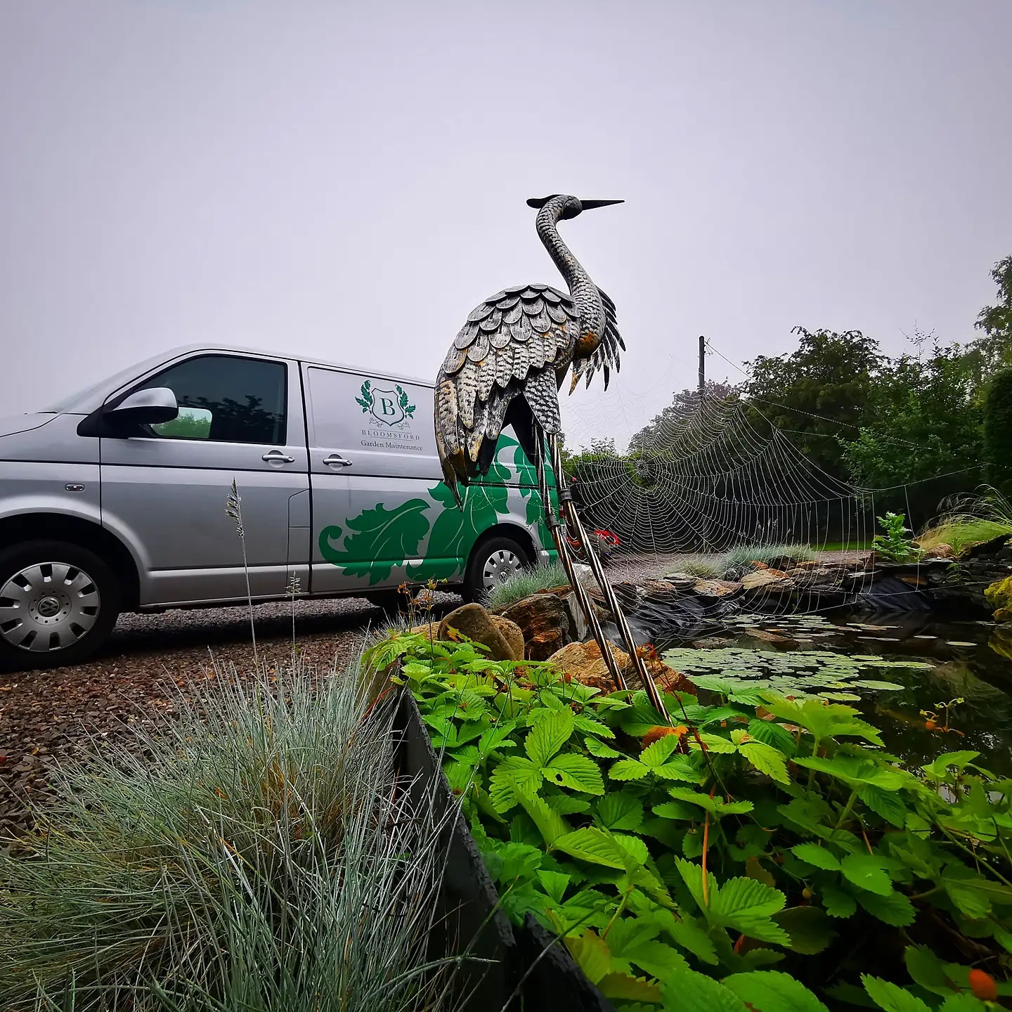 #cobweb #gardens #gardening #gardensofinstagram #vw #vwtransporter