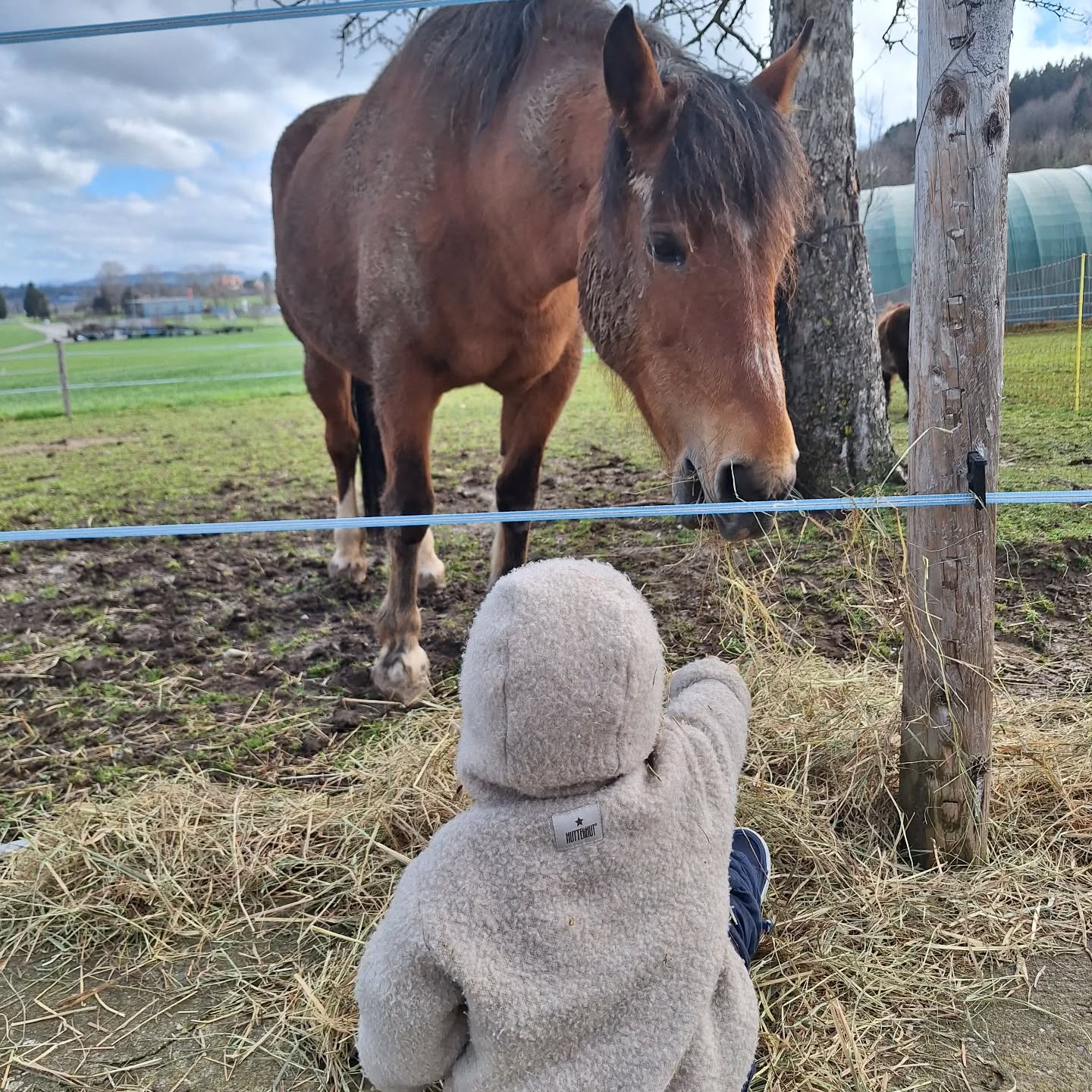 Ici, à la ferme, chaque enfant est accueilli tel qu’il est. Nous nous adaptons à lui, car chaque enfant est unique et chaque visite devient une expérience différente. 🐴🤎