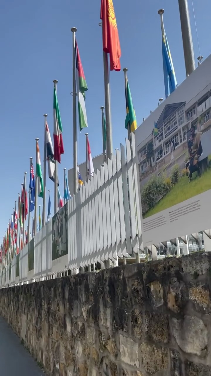 Dans un monde parfois incertain, la communauté artistique prend une valeur particulière.
Nous sommes très heureux de faire partie d’un réseau international qui célèbre la danse, le dialogue artistique et les rencontres au-delà des frontières.
Notre amitié avec le International Dance Council (CID) — Conseil International de la Danse (CID), partenaire officiel de UNESCO — est pour nous une source de belles rencontres et d’échanges inspirants.
La danse nous rappelle que, même dans les moments difficiles, la créativité, la dignité et l’humanité restent plus fortes que la peur.
Restez à l’écoute pour découvrir ce que Kyiv City Ballet prépare à Paris pour la Journée internationale de la danse, le 29 avril. #cidparissection #kyivcityballet