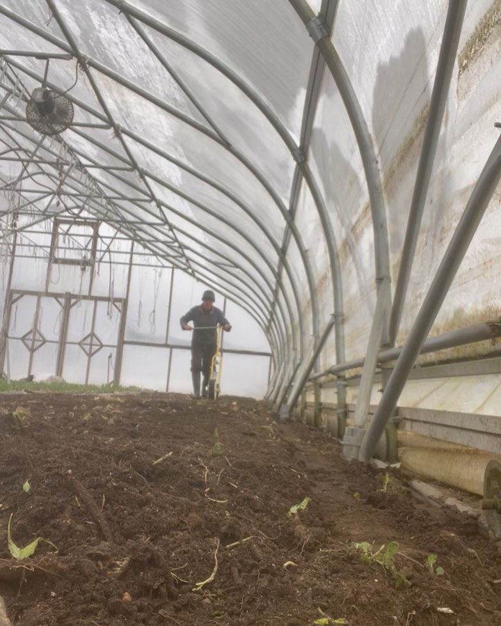 Two years ago I posted a video of me planting carrots at the same time of year—it was sunny and I was wearing a sports bra. Now winter has decided it’s not over yet and come to visit us once more.