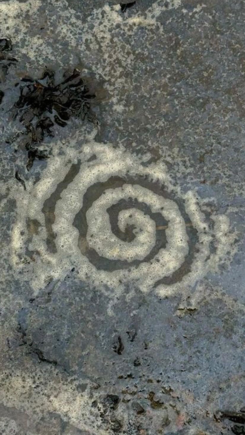 tuning in 🌀🌀 #spinalenergetics