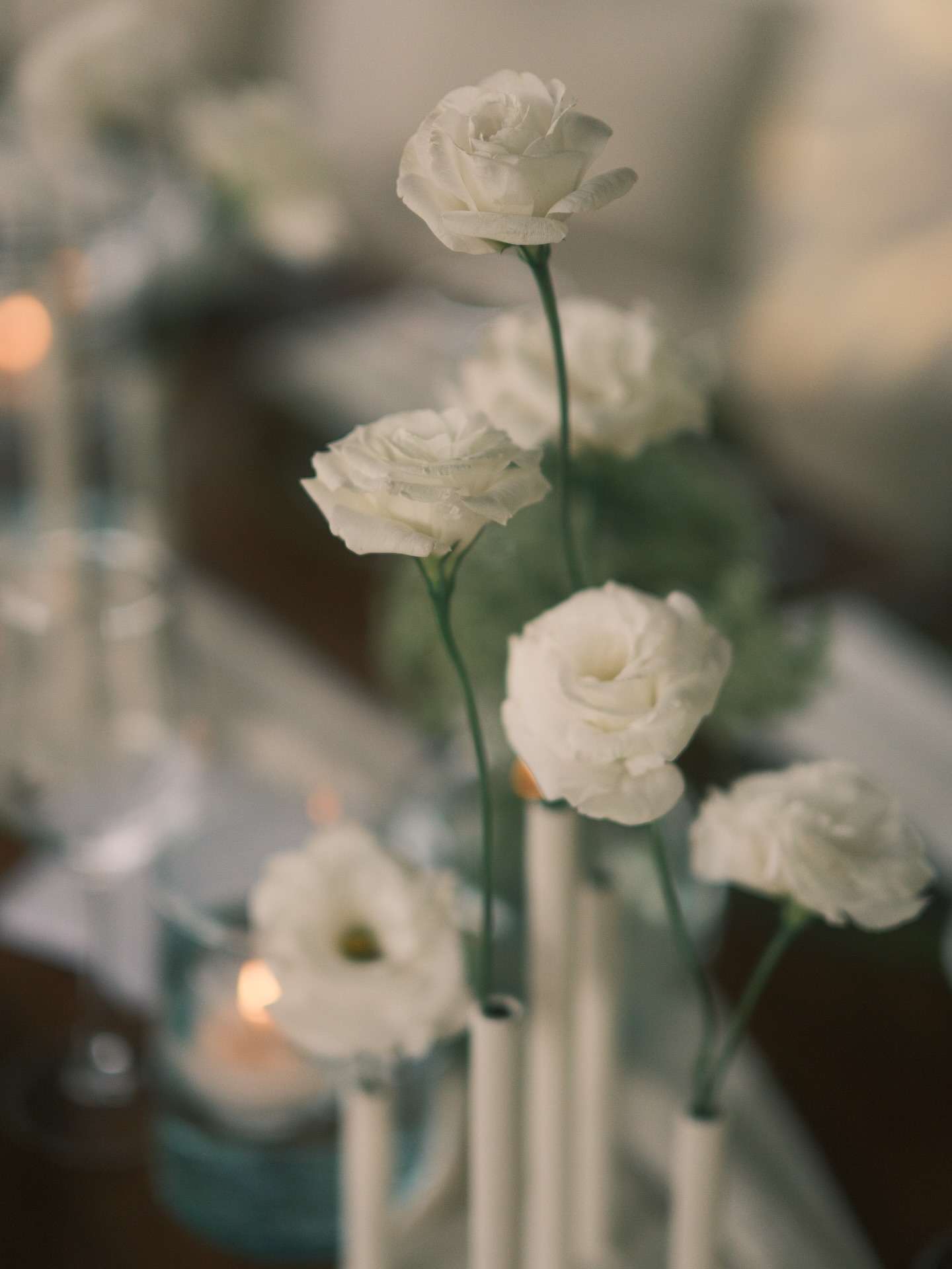 A & R
Fotos: @imagedesignersmx