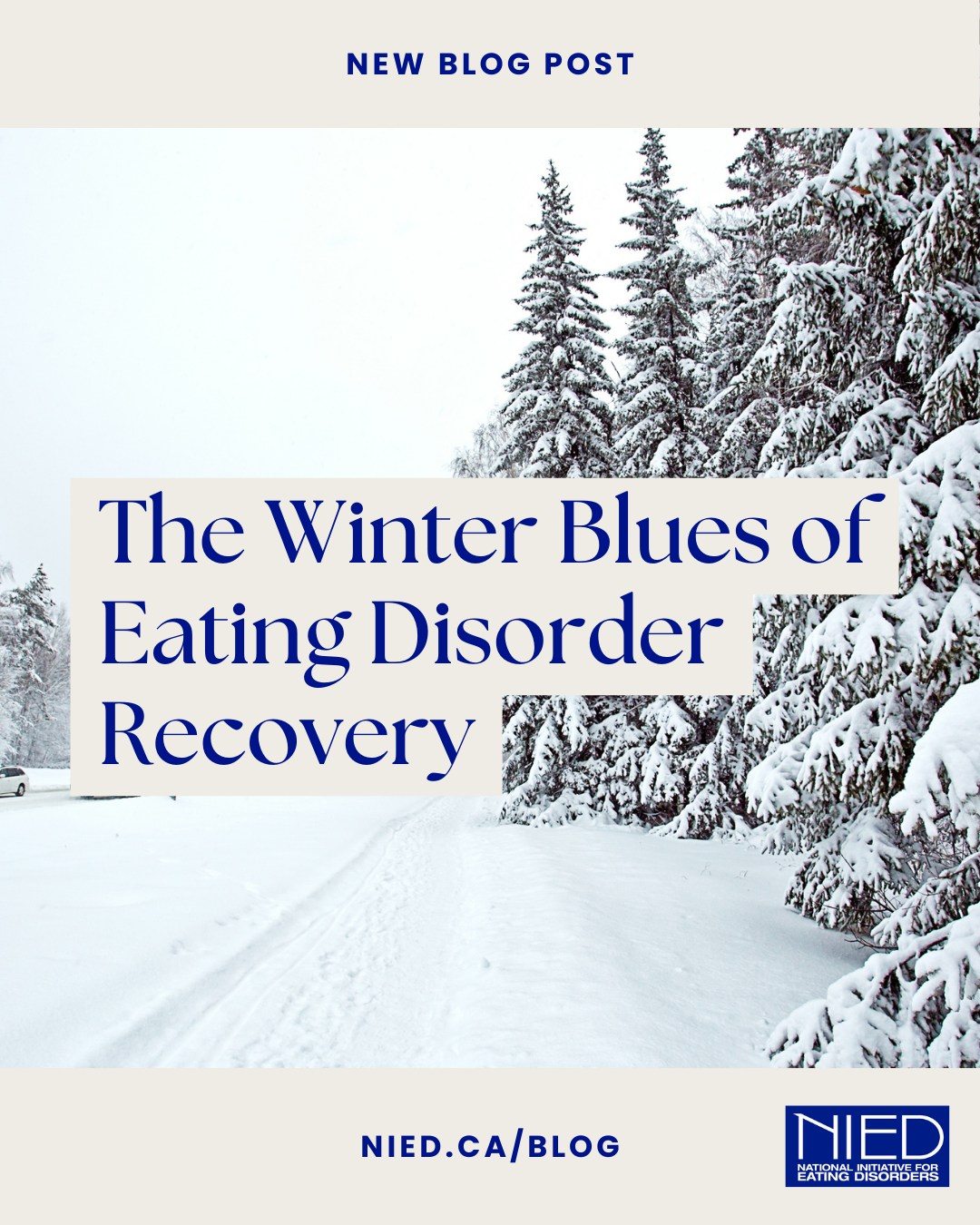 āCertain times of year can feel especially difficult, particularly for people with lived experience of eating disorders or disordered eating. Changes in light, routine, stress levels, and emotional demands can quietly intensify struggles around food, body image, control, and coping.
If this season feels harder than expected, there is nothing wrong with you. These responses make sense.ā
Read the whole post by Olivia Pillai-Quinney at NIED.ca/blog!