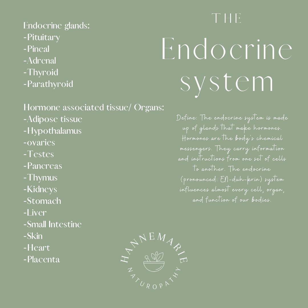 Say hello to your hormones.
The endocrine system is probably the most complex in the body, as you can see involving many organs and their functions.
Starting from your brain with the pituitary and pineal, down your body to the thyroid and parathyroid, further down to your kidneys where your adrenal glands sit on top of.
Iâll run you through each gland over the next week so you have a better insight about your hormones and their role in the body.
Part 1: The Pituitary Gland ( swipe ).
Xx han
#hormones #happyhormones #endocrine #cortisol #stress #ovulation #thyroid #naturopath #health #wellbeing #holistic #nutrition #hannahcunningham7