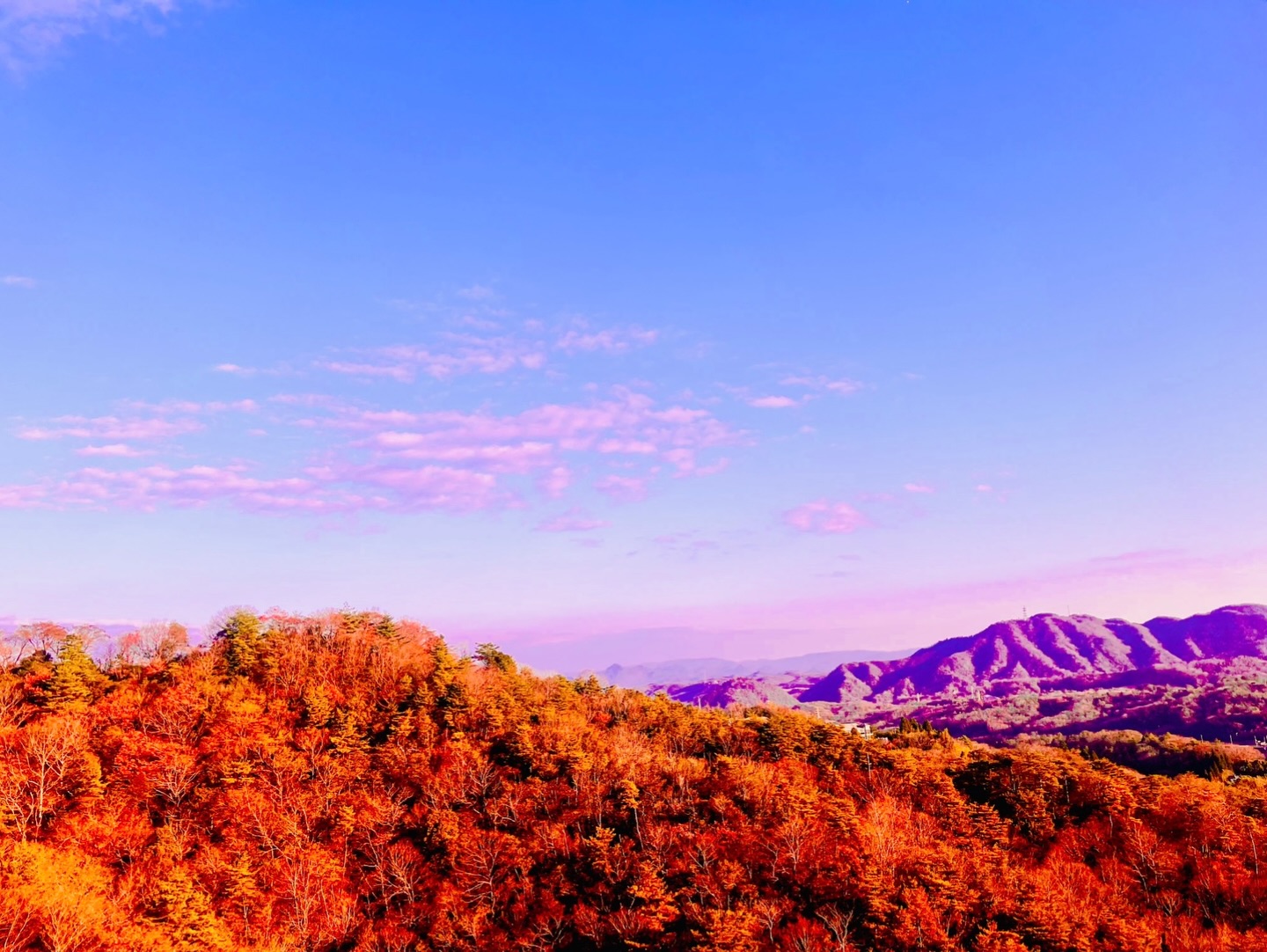 ・山眠る
・
・
・
・
・#山眠る
・#山の色彩
・#かわたれどき
・#六甲山