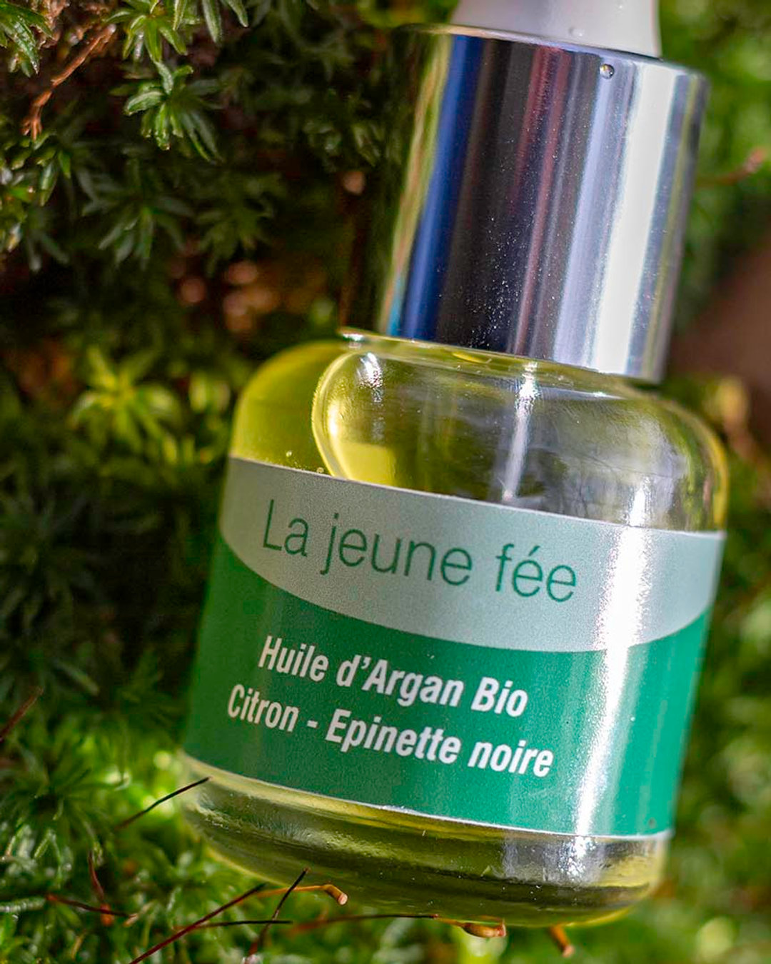 Le printemps nous rappelle que tout peut renaître 🌿Alchimoon