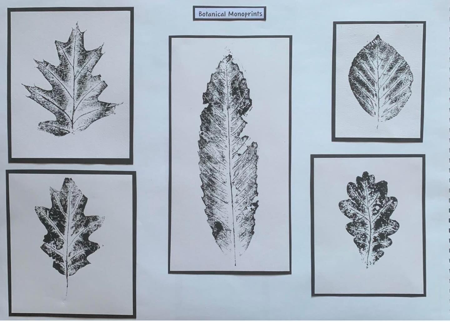 The beauty of mono prints… 🍃
Does anyone else love the simplistic beauty of mono printing?
In GCSE Art we love exploring printmaking processes. A student created these beautiful mono prints using leaves, celebrating natural shapes, textures, and the unexpected marks that printmaking can create.
#GCSEArt #Monoprint #homeeducation #Printmaking #arteducation