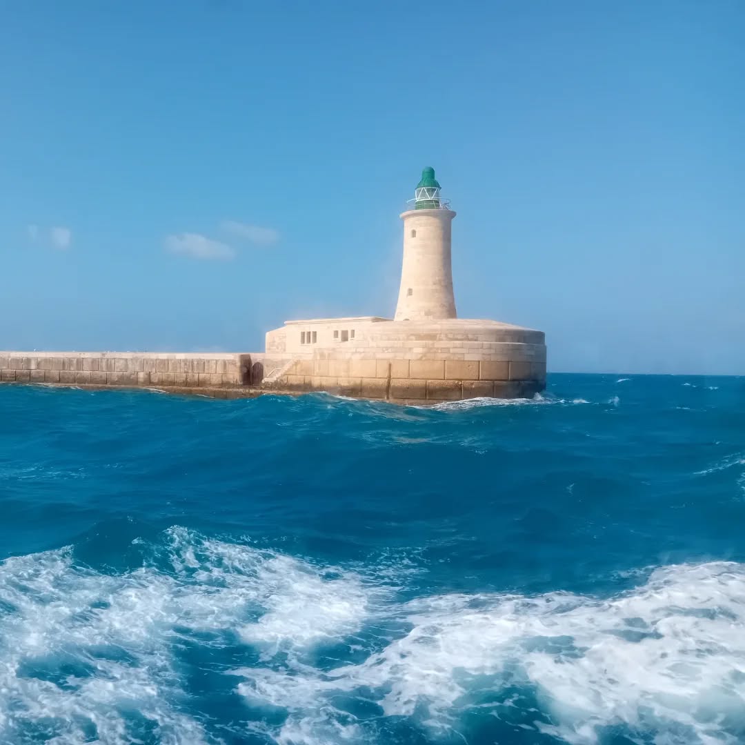 Recherchieren auf Malta. Ein grausames Schicksal. 😎📚😍