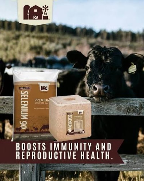 Redmond Naturals Selenium 90 helps support strong immunity, reproductive health, and overall herd performance with essential trace minerals your cattle crave 🐮
Find it at AgriBest Feeds or visit agribestfeeds.com to locate a dealer near you.
#AgriBestFeeds #RedmondNaturals #CattleNutrition #HealthyHerd #RanchLife BeefCattle