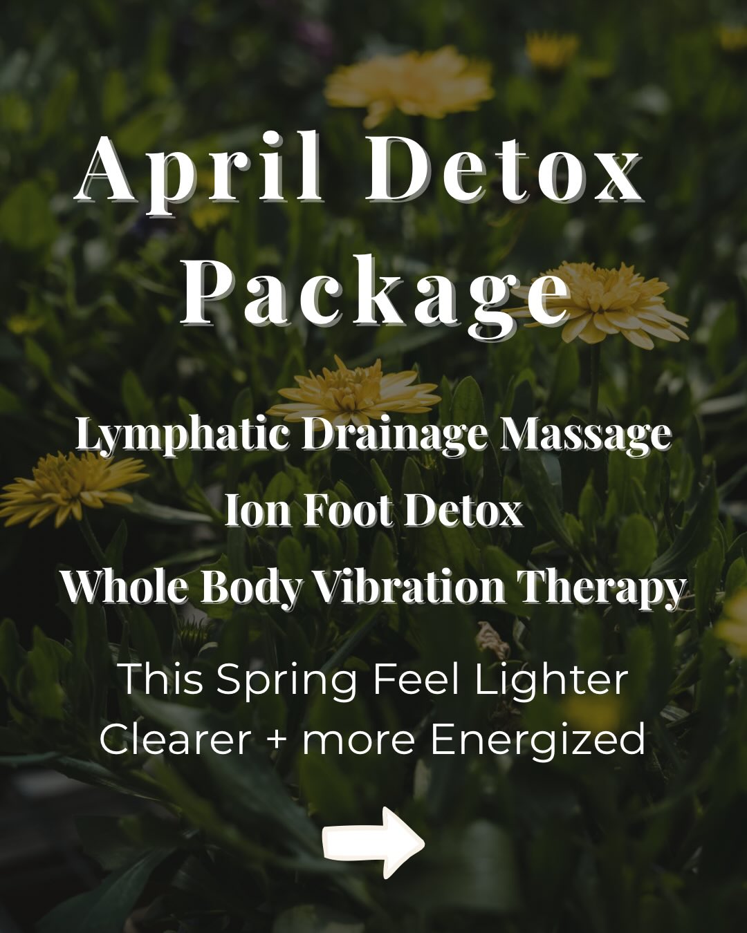 🌸 Spring is the perfect time to support your body’s natural detox pathways and give your system a gentle reset!
This limited-time 90-minute package includes:
• 50 minute Lymphatic Drainage Massage with Julia
(this is NOT with a Registered Massage Therapist)
• 10 minute Whole Body Vibration Therapy
• 30 minute Ion Foot Detox
Together, these therapies support circulation, lymphatic flow, and the body’s natural detox process—helping you feel lighter, refreshed, and rebalanced.
🌿 Special April rate: $170
Available only during the month of April with recommended booking times: Mondays & Thursdays between 9:30 AM – 3:00 PM 🌼 If you need a time outside of these hours, please email Julia to inquire.
TO BOOK: Message Julia on her social media accounts or email julia.vandewalle16@gmail.com (NO online booking for this package)
PS. There will be limited spots for this package, so make sure to book yours sooner rather than later!