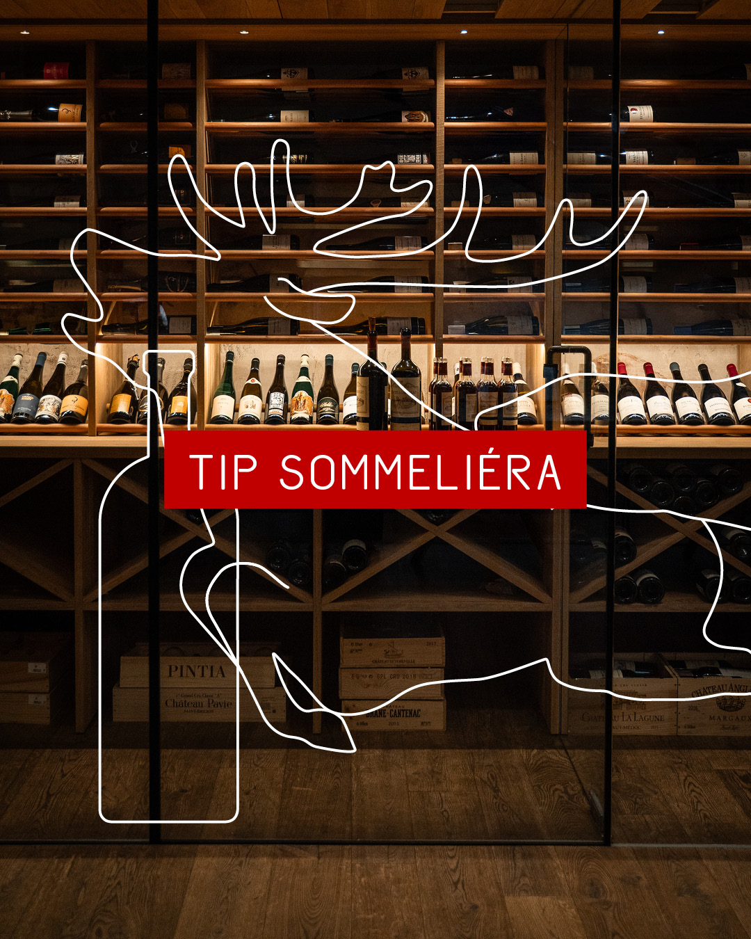 Dobré jídlo chutná ještě o něco lépe, když si k němu dáte správné víno. 🍷
V Červeném Jelenovi proto vždy přemýšlíme nad tím, jak jednotlivé chutě propojit – aby se jídlo a víno navzájem doplňovaly a nechaly vyniknout to nejlepší z obou. Připravili jsme pro vás malý návod, jak některá jídla z našeho menu kombinovat s víny z naší vinotéky.
A pokud si nebudete jisti, náš sommelier @petr.srejma vám rád doporučí to nejlepší. 😉
#cervenyjelen