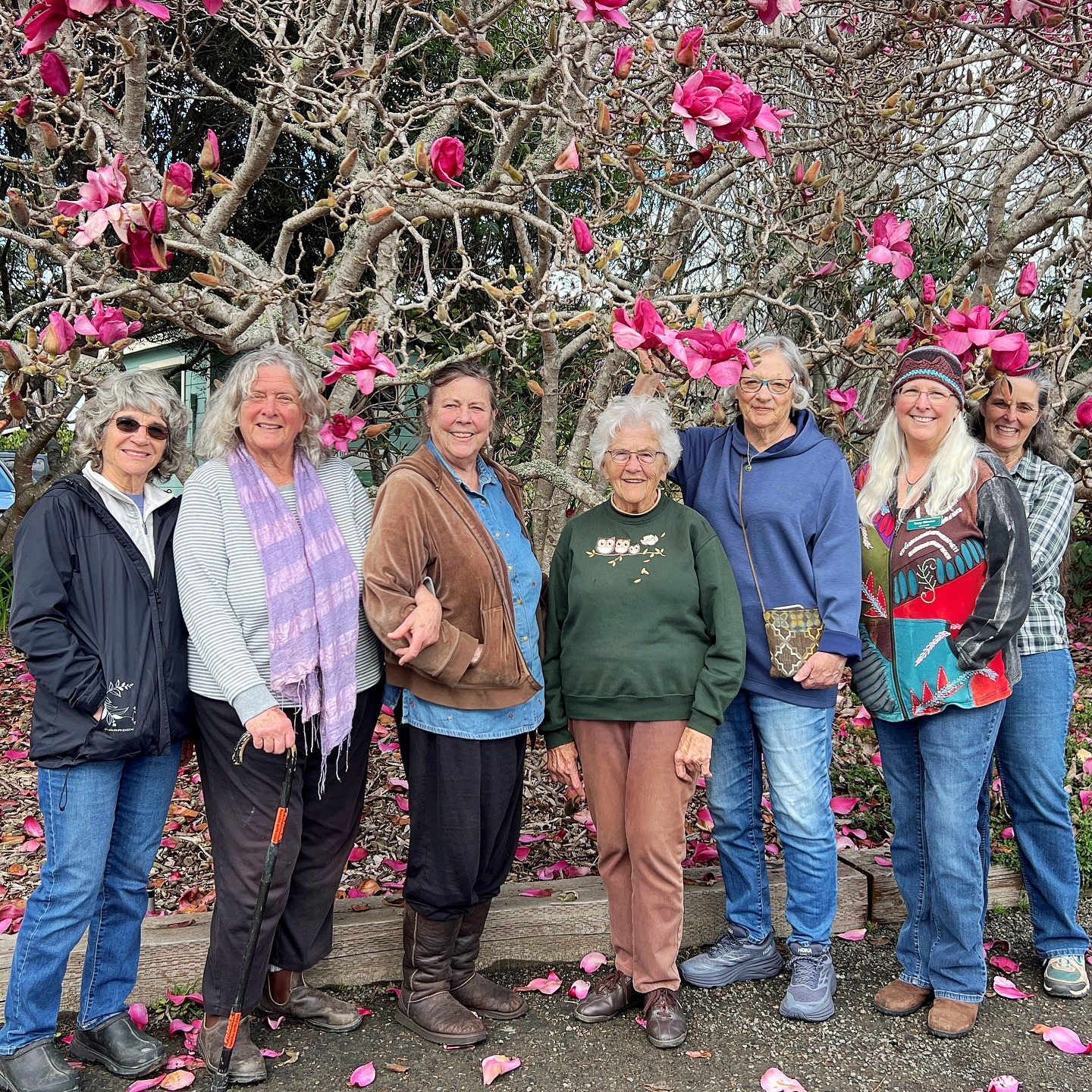 🎨🌱 Seed Art Throwdown! The Mendocino Coast Botanical Gardens is calling on local artists to put their creativity in bloom. Our wonderful Seed Group volunteers (pictured here) meet monthly to collect, clean, and package seeds from the Gardens. In the past five years, those little packets have raised $31,314 to support our nonprofit mission. We are now looking for beautiful new artwork to feature on our seed packets.
🌼 Deadline: March 30, 2026
🌿Visit www.gardenbythesea.org (link in bio) for entry details.
Submit an original illustration or painting of one of our selected plants, from California poppies to baby blue eyes, and your art could be featured on packets sold in the Garden Store. Selected artists will be credited on the packaging and receive five packets of their seeds.
Like seeds, artists help beauty grow. We cannot wait to see what you create!