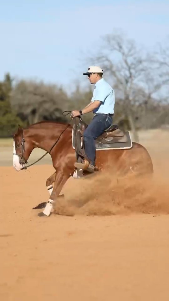 @rodrigonievesreining has been doing amazing work with Malibus Son Ofa Gun ( Itsa Malibu Bingo x @thekidsgottagun )
Owner Kathleen M. Gould, DVM
#NRHAReining #nrha #SantaHillRanch #reininghorse #training