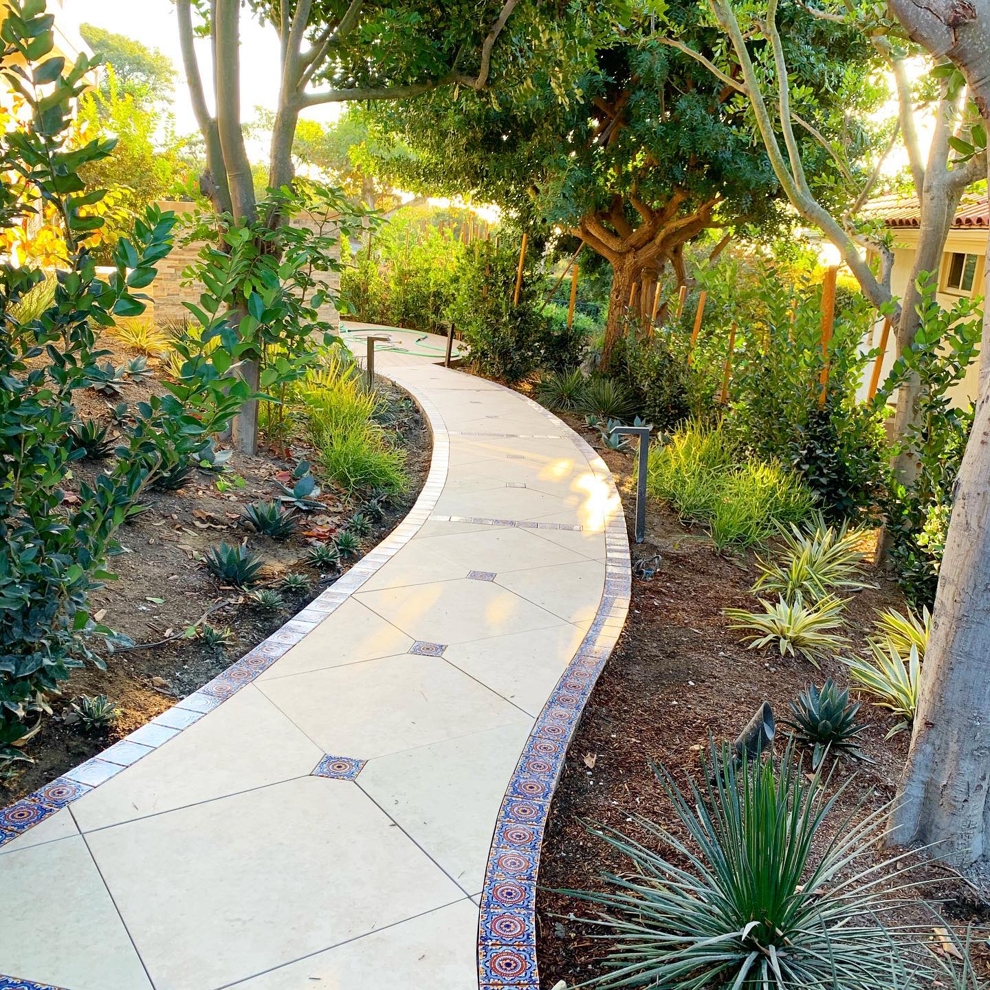 Watching this landscape design come to life has us smiling today, and this is just the side yard✨ #oclandscape #newportbeach #homedesign #orangecounty #architecture #newportbeachhome #landscapearchitecture