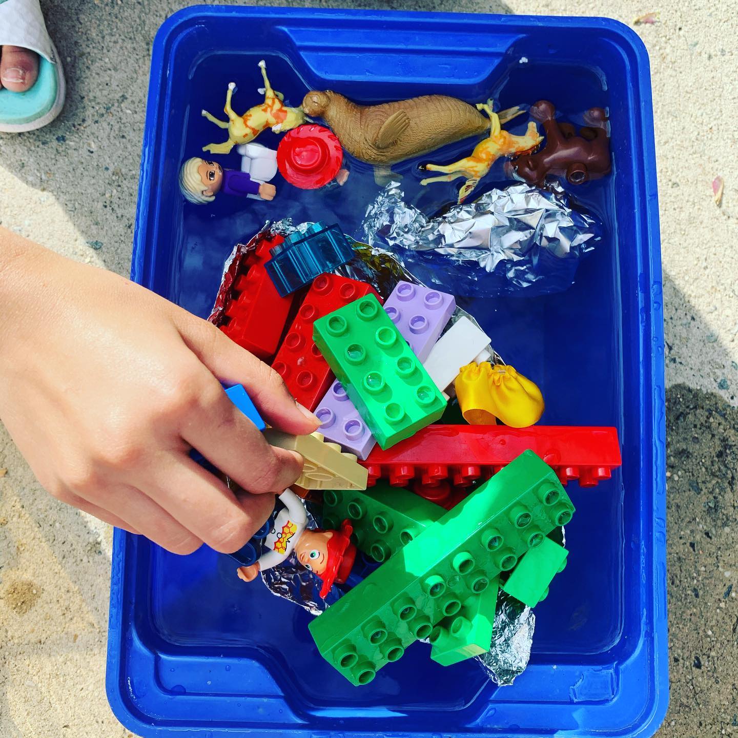 Today two beautiful ships raced across the Mediterranean Sea to deliver goods to the Agora, only to be capsized by a walrus!
Have fun with the Aluminum Foil Boat Challenge at:
https://www.realkidsplay.com/post/aluminum-foil-boat-challenge
#playathome #distancelearning #learningathome #stayhome #stayathome #3rdgrade #4thgrade #5thgrade #fun #project #legos #homeschool
