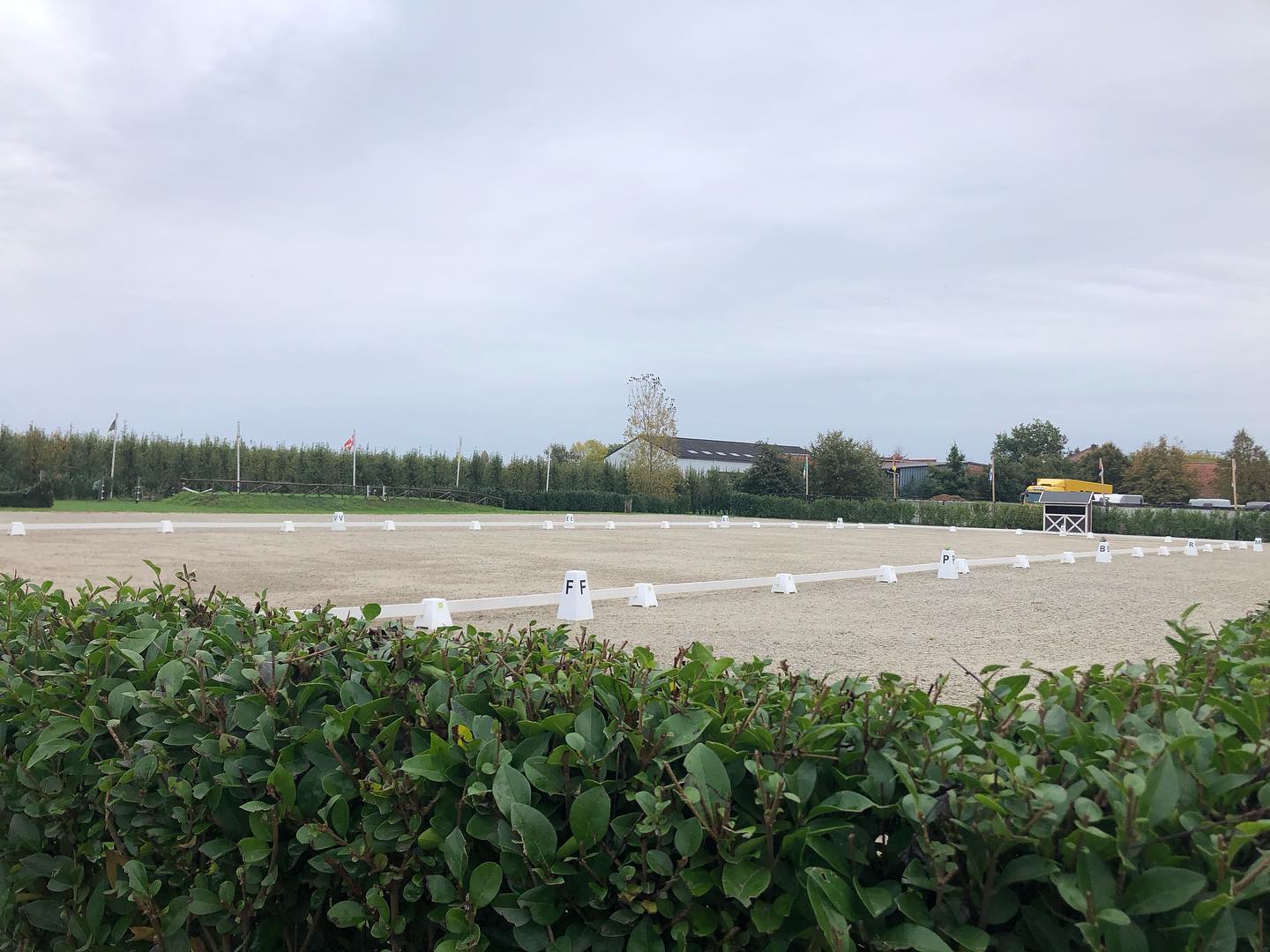 Today dressagecompetition 🍂❤️