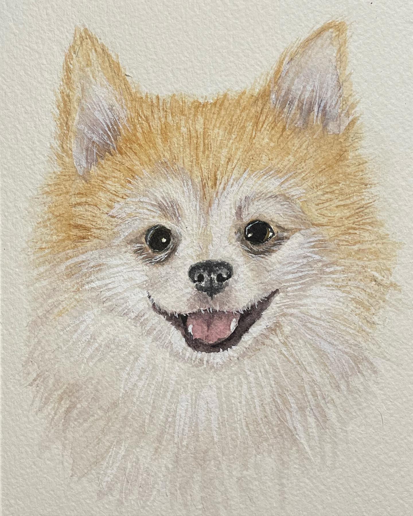 So many pet portraits, so little time for posting! ❤️