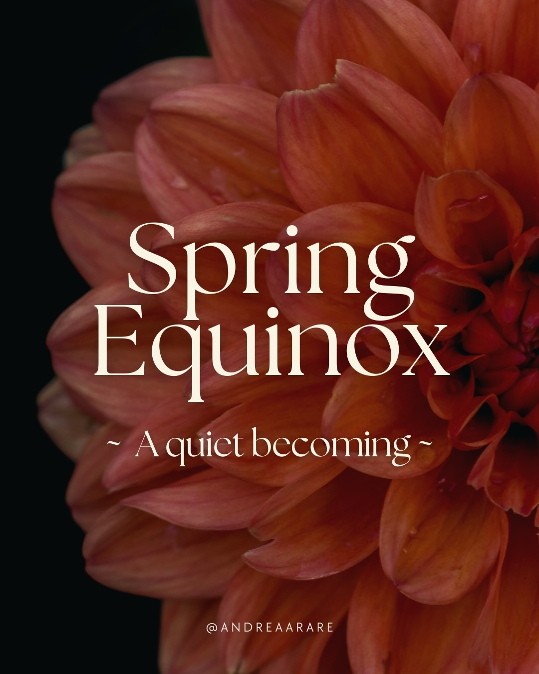 Spring reminds us
You do not need to bloom immediately.
First comes rooting. Then soft movement.
Then life unfolds in its own timing.
The equinox asks:
What wants to grow now? What is ready for light?
What no longer needs protection?
Not through force, but through permission.
Swipe ➡️ to tune into the energy of this season 🌸
#springequinox #cyclicalliving #wheeloftheyear #equinox