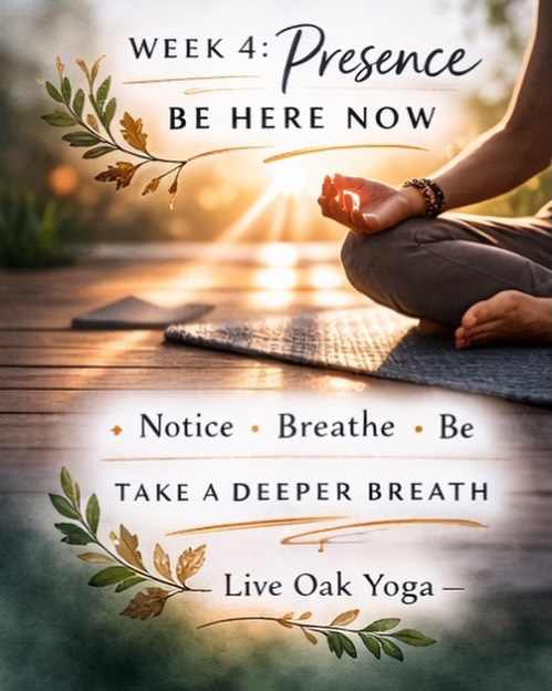Week 4 – Presence
When did you feel most present?
Presence is the practice.
Notice how your body feels today, not how it felt yesterday.
Keep showing up—we see you.
#BeHereNow #YogaInNOLA #liveoakyoganola
#lentyogachallenge #nolayoga