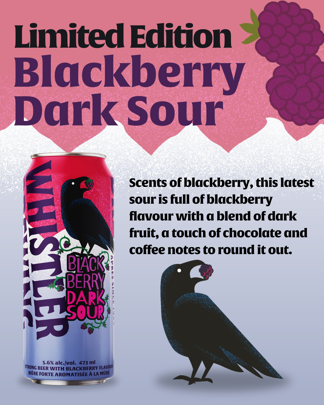 Our NEW limited edition is here!
We only made a few cases, so make sure you grab it when you see it!