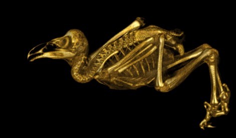 Hi, friends! Here’s a pretty CT scan of a juvenile barn owl. 😊
.
But today I’m here to spread the word about an awesome science event coming up! On April 13 the @westernsciencecenter in Hemet, CA will be hosting the Inland Empire Science Festival! This wonderful celebration of science promises to be full of super cool things to see, in addition to the regular museum exhibits.
.
I’m extra excited because I’ll be there hosting the Lady Anatomica’s Pop-Up Comparative Anatomy Museum!! So if you’ve ever wanted to see (and touch!) some of the stuff I post about, come out to #IESF2019!
.
#science #festival #outreach #popupmuseum #bones #plastination #scienceart #womeninstem