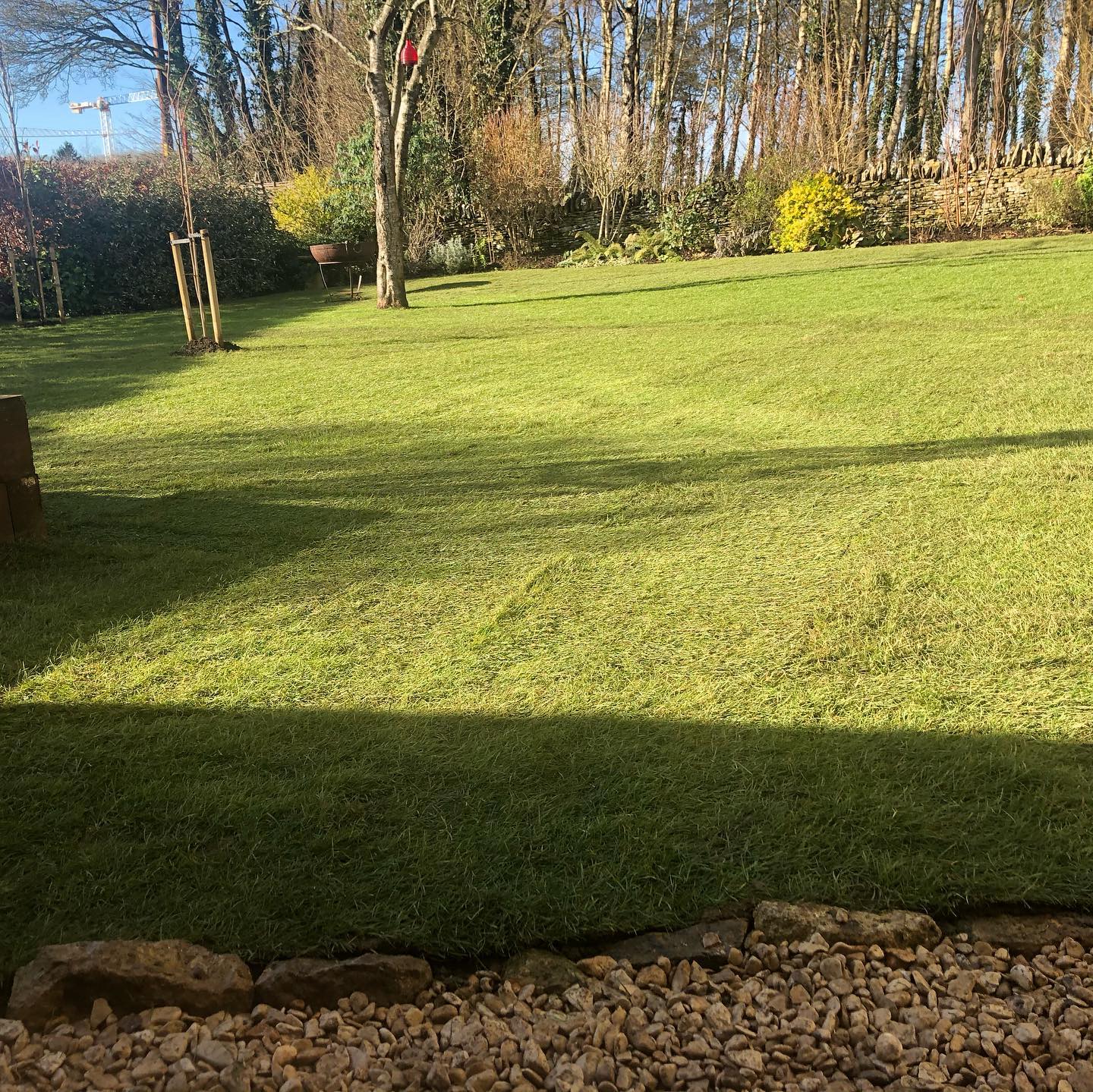 Another old uneven lawn replaced. #westwell