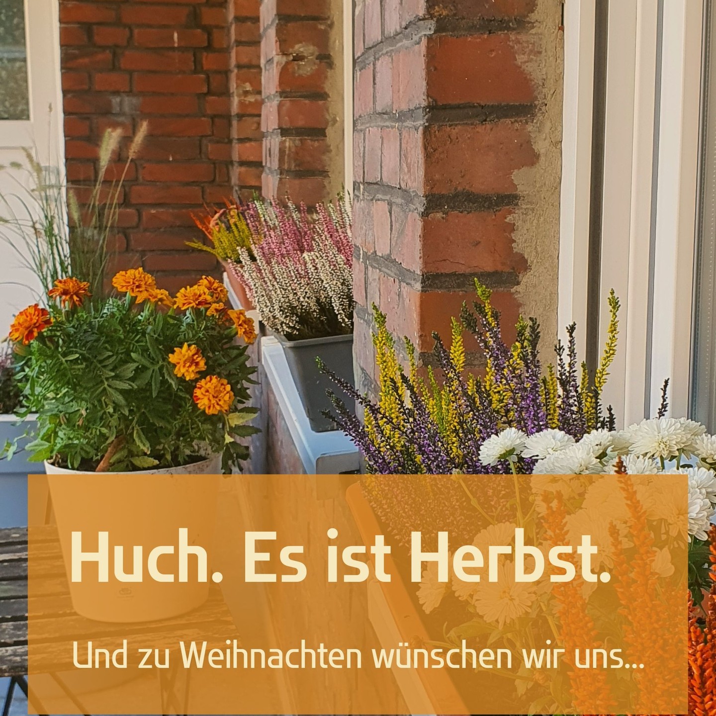 Der Sommer hat uns wachsen lassen.
Doch es ist uns noch nicht genug!
Werde ein Steinchen.
Mehr Infos zu uns und unseren offenen Stellen hier und auf unserer Website
#Stellenangebot
#jobangebot
#ergotherapie
#ergotherapiepraxis
#kauffachkraft
#praxismanagement
#verwaltung