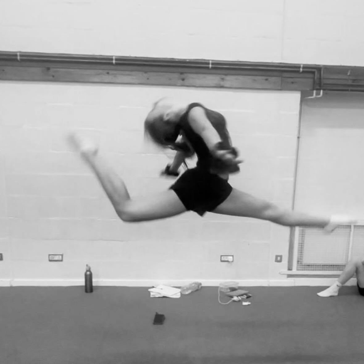 They just like to leap 🤩😂, Show Prep coming along nicely!!! NOV 2026!!!!