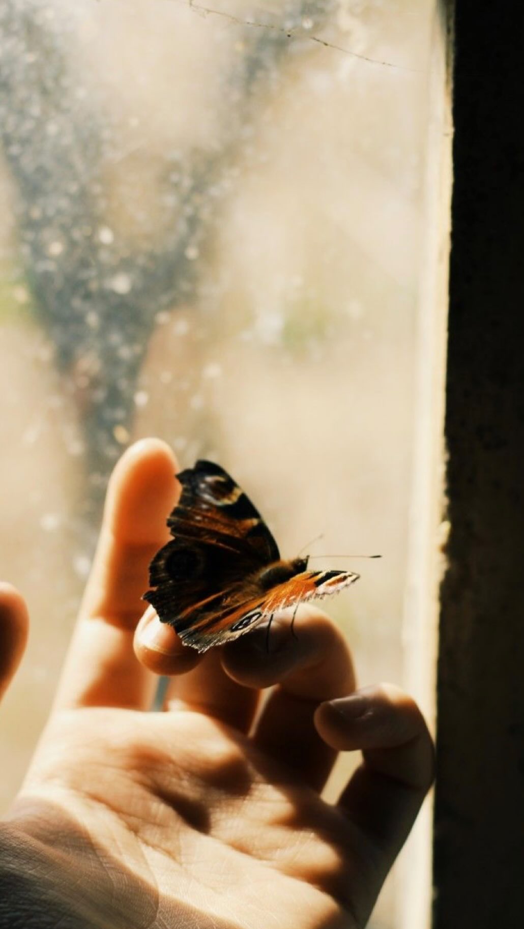 my reel game needs work, but it’s super fun to be (and feel) creative again 🫶🏼