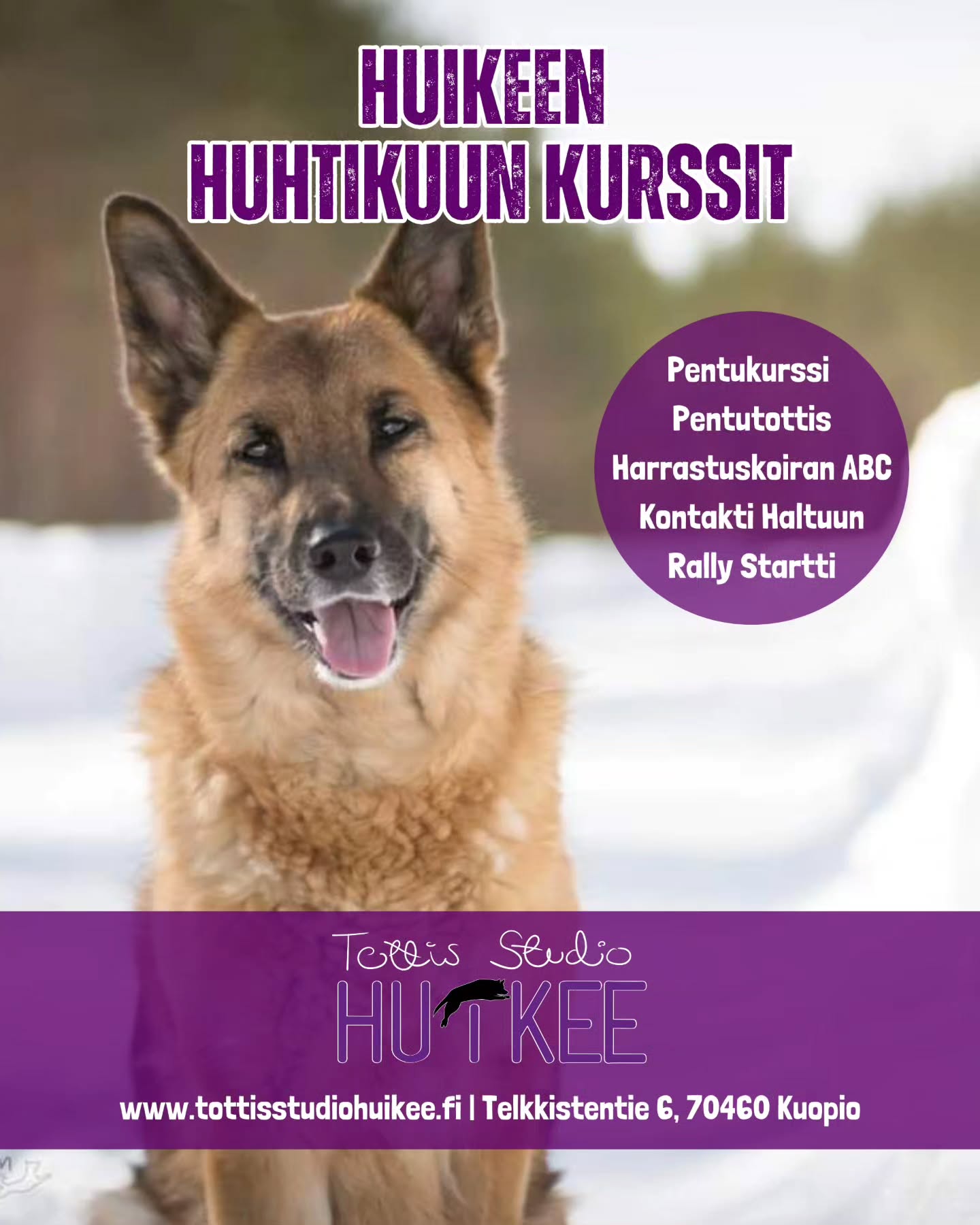 💜 HUIKEEN HUHTIKUUN KURSSIT! 💜
Talven kaikki kurssit sisällä lämpimässä HuiKeen hallilla Kuopion Kelloniemessä 🐾
ALKAVIA KURSSEJA
🟣 Pennuille Pentu Startista
✨️ Pentukurssi
✨️ PentuTottis
🟣 Arkeen aikuisille koirille
✨️ Kontakti Haltuun
🟣 HarrastusPolku
✨️ Harrastuskoiran ABC
✨️ Rally Startti
🟣 POP UP -treenit
✨️ Yksittäisiä irtopaikkoja ryhmiin
✨️ Eri aiheista POP UP-tunteja
▫️ Näyttelytreeni POP UP tulossa!
ILMOITTAUDU MUKAAN KURSSEILLE JA TREENEIHIN
▫️Kotisivujemme kautta
Lämpimästi tervetuloa mukaan! ❤️✨️
#tottisstudiohuikee #koirankoulutus #koirahalliKuopio #koirakoulukuopio #koirakoulu