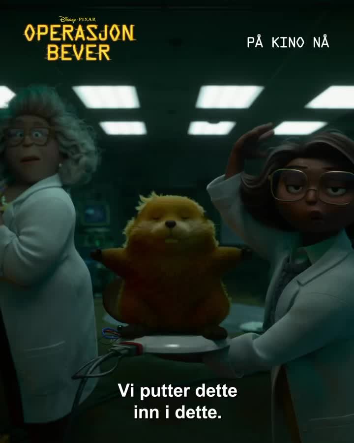 VÅGÅ KINO Sundag 15. mars klokka 17.00 🎬
🦫 Operasjon bever 🦦
Aldersgrense 6 år
https://checkout.ebillett.no/211/events/962/purchase