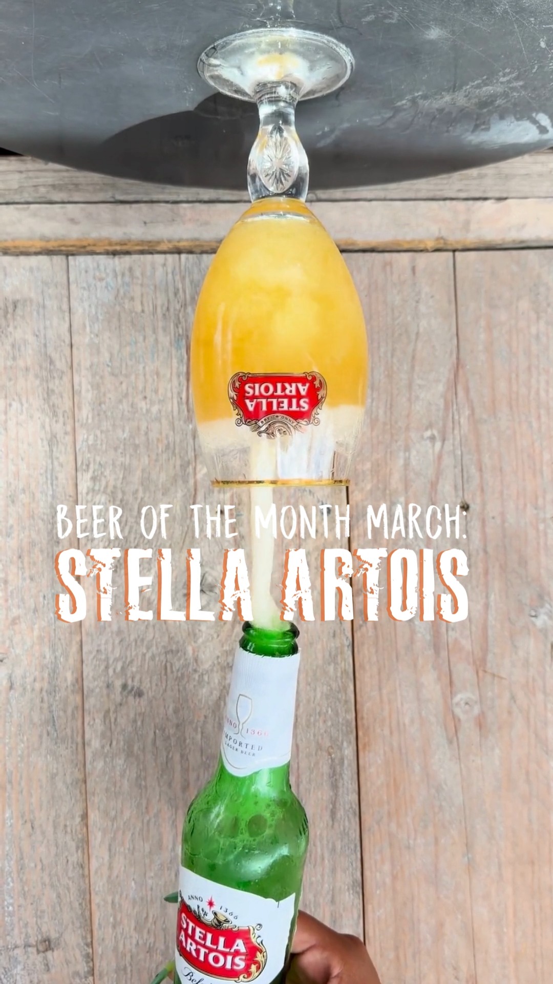 Fris, verfijnd en perfect om samen van te genieten. Voor een borrel, lunch in de zon of een lange avond tafelen met vrienden.
Een ijskoude Stella…
want als de Belgen ergens verstand van hebben, dan is het wel bier.
Kom langs bij Plein Café Wilhelmina. Oh, en deze maand 6 voor de prijs van 5. Dat noemen we pas koninklijk genieten.