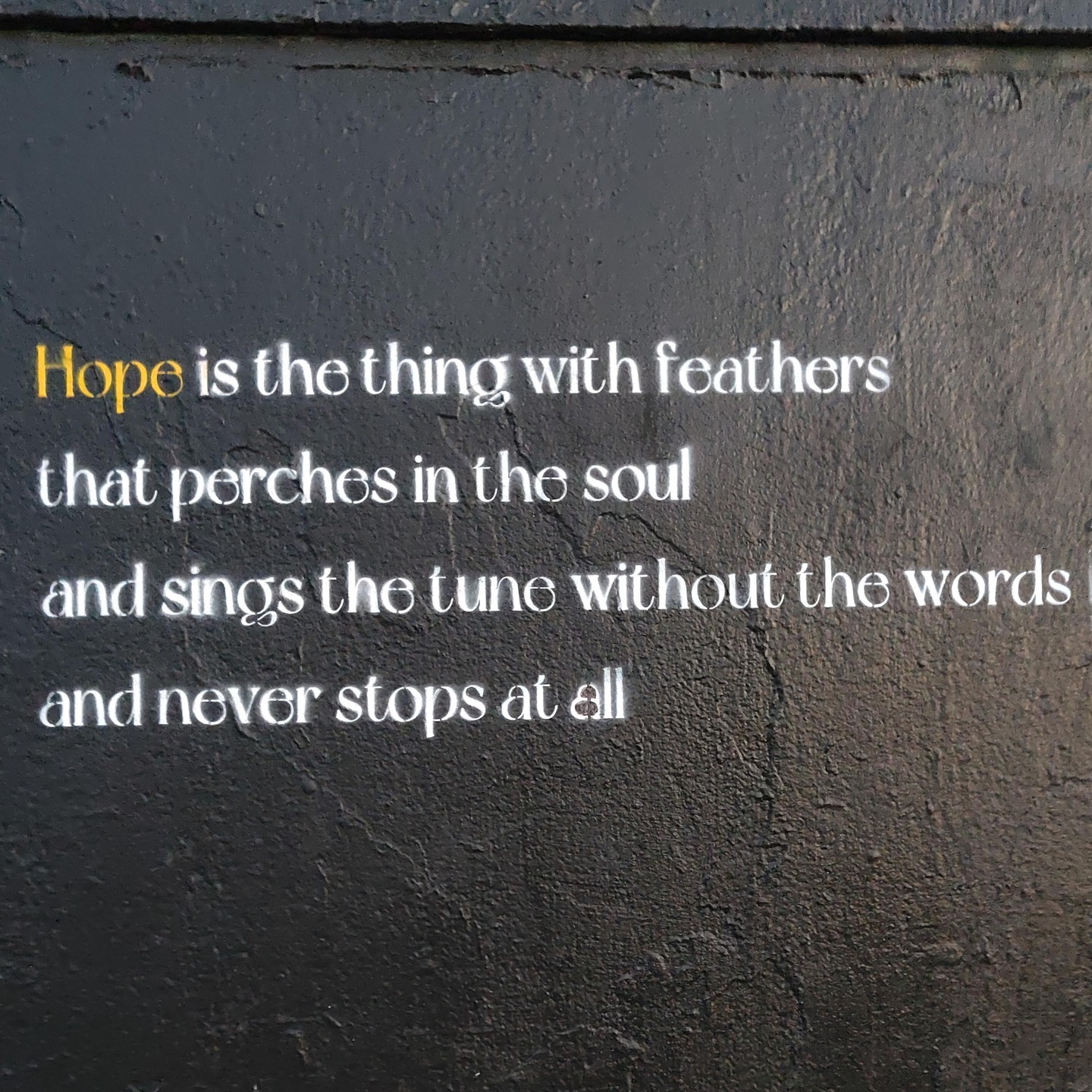 The Dickinson graffiti artist is at it again, stenciling my favorite poem onto another construction site in our neighborhood. 🪶This is the third time in as many years I have happily stumbled upon "Hope" and so I felt compelled to share it here in case you need a little boost of encouragement, solace, or whatever you might take from it. The last photo is Emily's writing desk, which I got to see when I visited her home (now a museum) a couple summer ago in Amherst, MA.
"Hope" is the thing with feathers
That perches in the soul-
And sings the tune without the words-
And never stops- at all-
And sweetest- in the Gale- is heard
And sore must be the storm-
That could abash the little Bird
That kept so many warm-
I've heard it in the chillest land-
And on the strangest Sea-
Yet- never- in Extremity,
It asked a crumb- of me
Emily Dickinson (1830-1886)
Do you have a favorite poem? I'd love to read it!