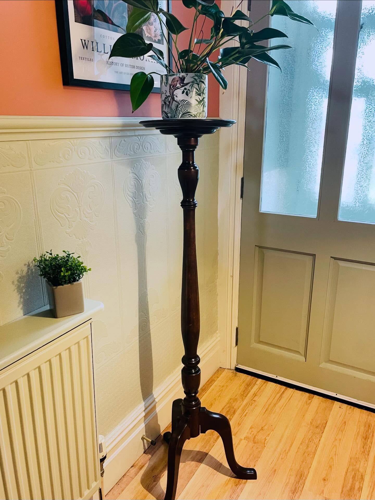 Glad to say we survived another Friday 13th without a major hitch! Even the dentist wasn’t too bad…. just came out with a lighter purse 🤣
It’s looking a bit more spring like today and if you like to brighten up your home with plants 🪴 this gorgeous plant stand could be very useful. Very tall and elegant, made from mahogany it stands on a tripod base with a round top stand. A great way to show off your prize aspridistra or perhaps a bust head or ornamental feature?
It measures H132cm £75
#plantstand #mahogany #turnedbase #tripodlegs