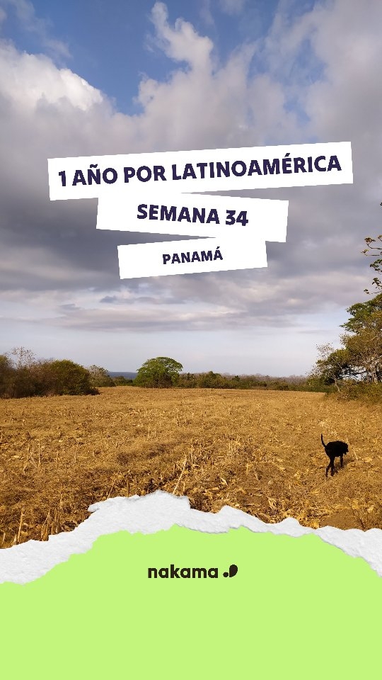 ✈ Semana 34
📍Pedasí, Panamá
Hace unos meses empezábamos este gran viaje en Panamá. Y esta semana volvemos al mismo lugar.
Pero esta vez no venimos a descubrir nada nuevo. Venimos a volver a ver a las personas que hicieron especial este lugar.
Después de tantos kilómetros, nos hemos dado cuenta de que los sitios son bonitos, sí…
pero lo que realmente te hace volver a ellos son las personas que hacen de ese lugar algo especial.
Esta semana no hay grandes aventuras.
Solo tiempo compartido, conversaciones largas y la sensación de volver a un lugar que, de alguna forma, también sentimos un poco casa.
Viernes de viaje con Nakama: ¿Dónde estábamos hace 4 años?
Revivimos nuestro viaje por Latinoamérica contigo.
::::::::::::::::
✈ 34.astea
📍Pedasi, Panama
Bidaia handi hau Panaman hasi genuen orain dela hilabete batzuk. Eta aste honetan bertara bueltatzea erabaki dugu.
Oraingo honetan, ez gatoz ezer berria deskubritzera; leku hau berezi egin zuten horiekin egotera baizik.
Hainbeste kilometro egin ondoren, leku batera bueltatzeko arrazoi nagusia bertako jendea dela konturatu gara.
Aste honetan ez dugu abentura handirik biziko. Lagunekin denbora konpartituko dugu, eta etxean gaudenaren sentsazioa izango dugu.
Ostiraleroko Nakama bidaiak: Non geunden orain dela 4 urte?
Latinoamerikan zehar egindako bidaia elkarrekin biziko dugu.
#nakama #panamá
