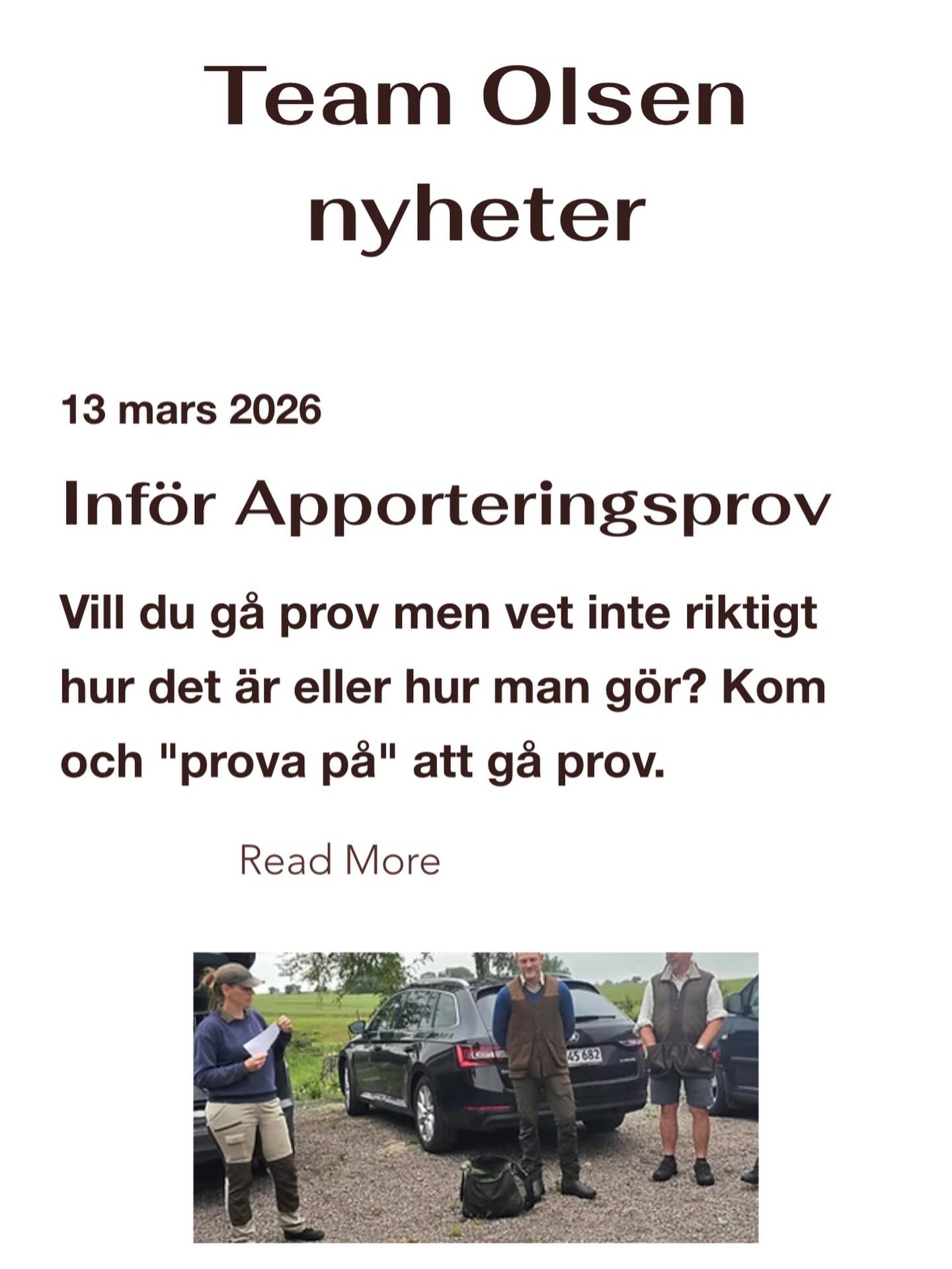 Nytt på hemsidan! Den 29/3 finns möjlighet att komma och träna på att gå ett apporteringsprov. Mer info på hemsidan under nyheter. Team-Olsen.se #teamolsen #teamolsenforthewin #gundogtraining