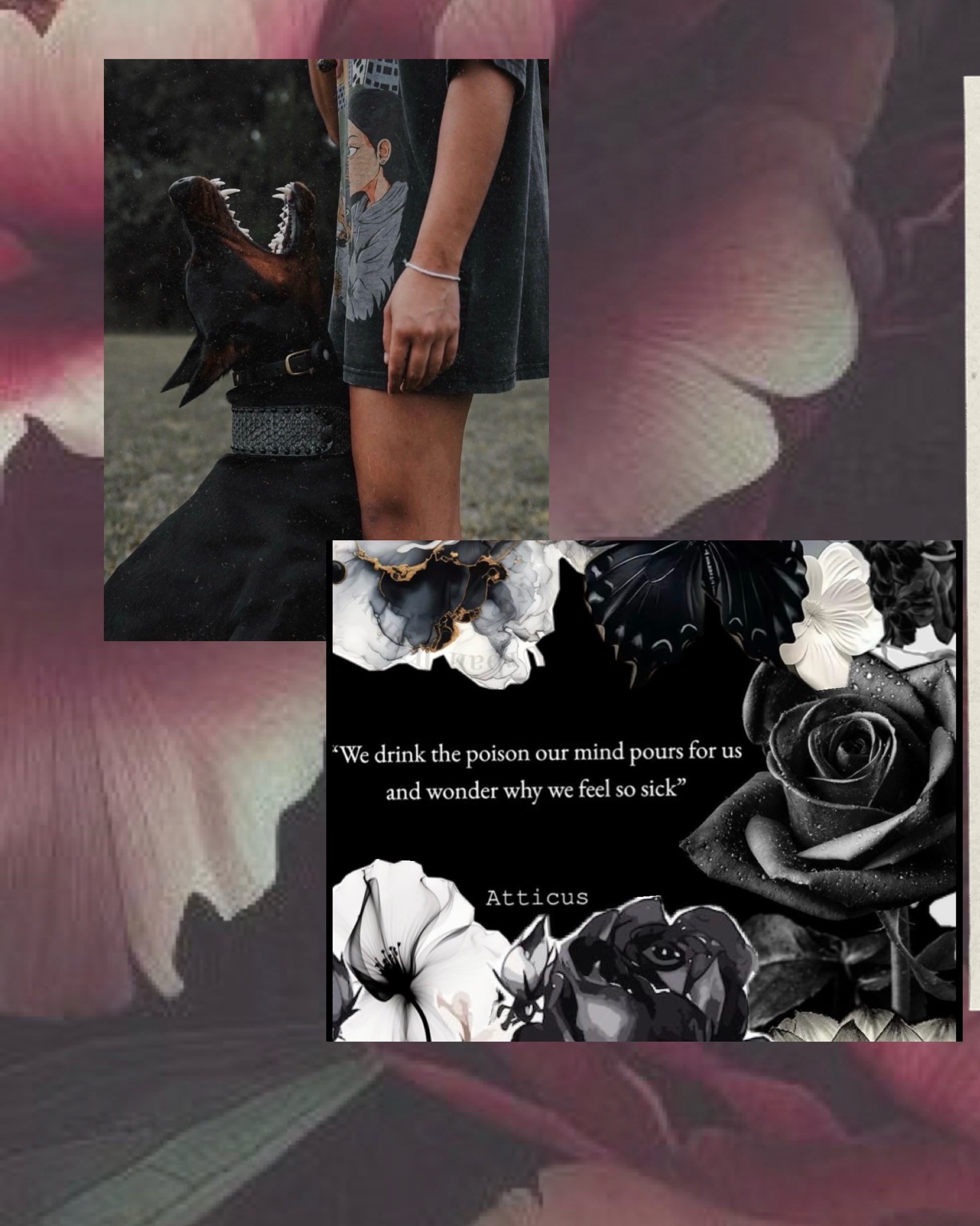 There is nothing I’ve loved more than writing this absolute ✨beauty✨ of a love story!
There’s hate, there’s love, there’s anger and betrayal.
And you can pre-order it all NOW!
Emerge is coming April 29th 🖤🎭🔪
#spicybookstagram #romancebookaddict #enemiestolovers #mafiaromancebooks #darkromance