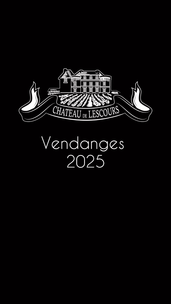 🍇Vendanges 2025🍇