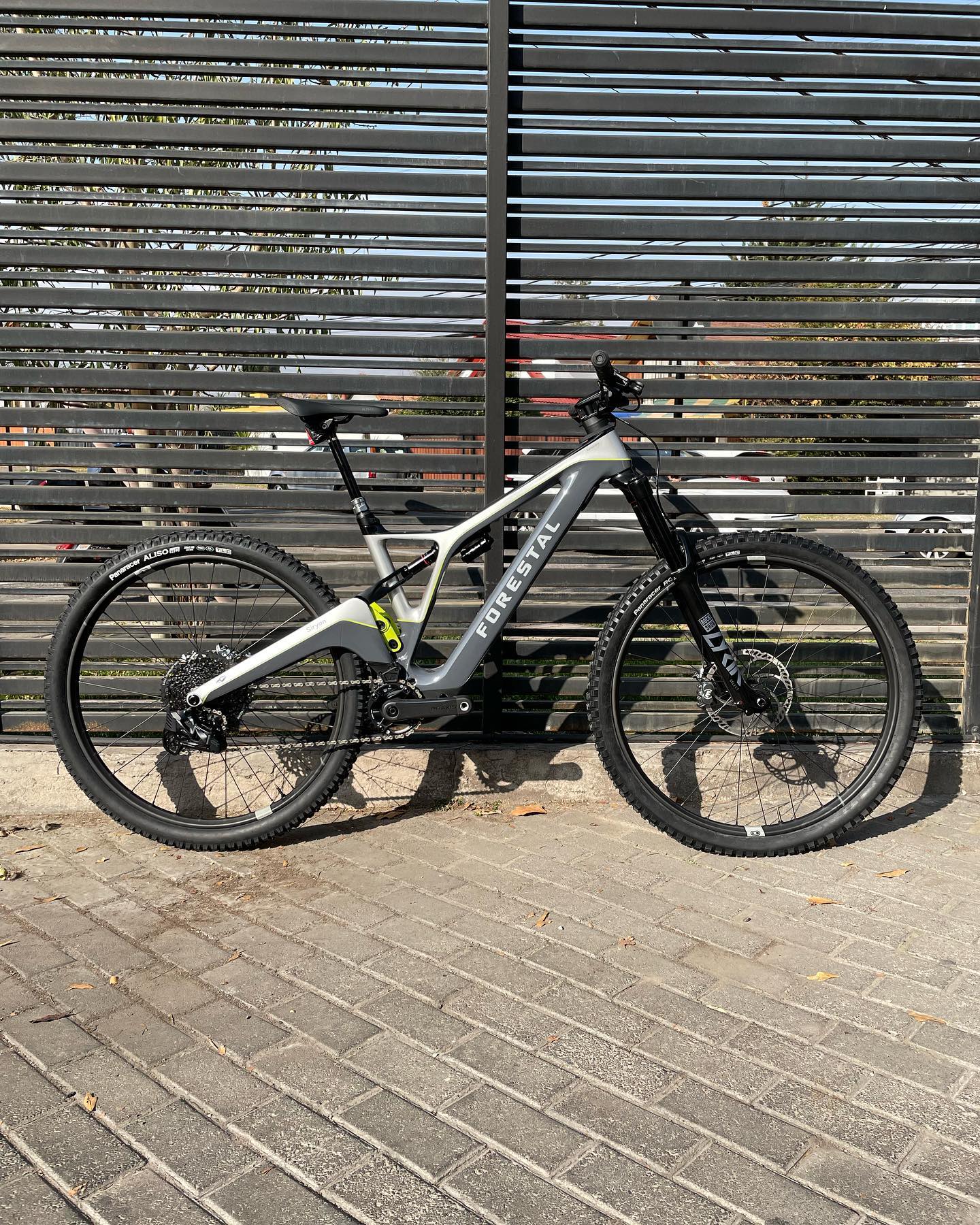 Custom Kit para la Primera @forestalbikes Syrion en Chile. Felicitamos a su dueño @grauson por tremendo maquinón 🚀 ! En tiempo record le hicimos el molde y protegimos la bici para que pueda estrenarla este fin de semana🤟🏽🫶🏽.
#forestalbikes
#bikeporn
#forestalsyrion
#syrion
#beoriginalbeskull