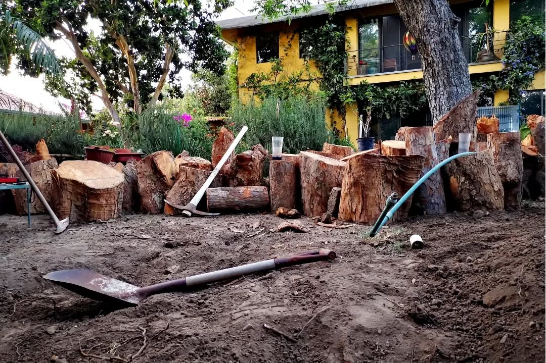 Transformando otra esquina del jardín de la @quinta_del_flamboyan
Quinta Flamboyan, Morelos
abril 2023
.
.
.
#hornotaller #landarch #paisajismo #cuautla #morelos #jardin #