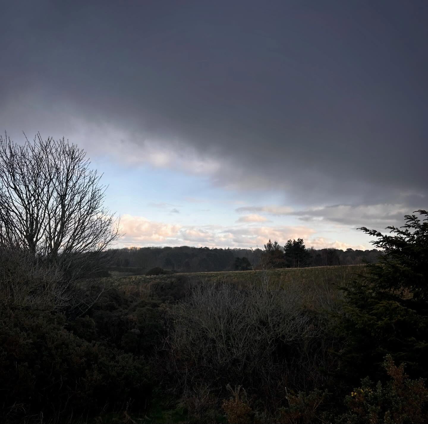 The light was incredible yesterday evening. Dodging the showers to get the pictures was fun!
#forestbathing #forestbathing🌲🌲🌲 #forestbathingscotland #forestbathingedinburgh
