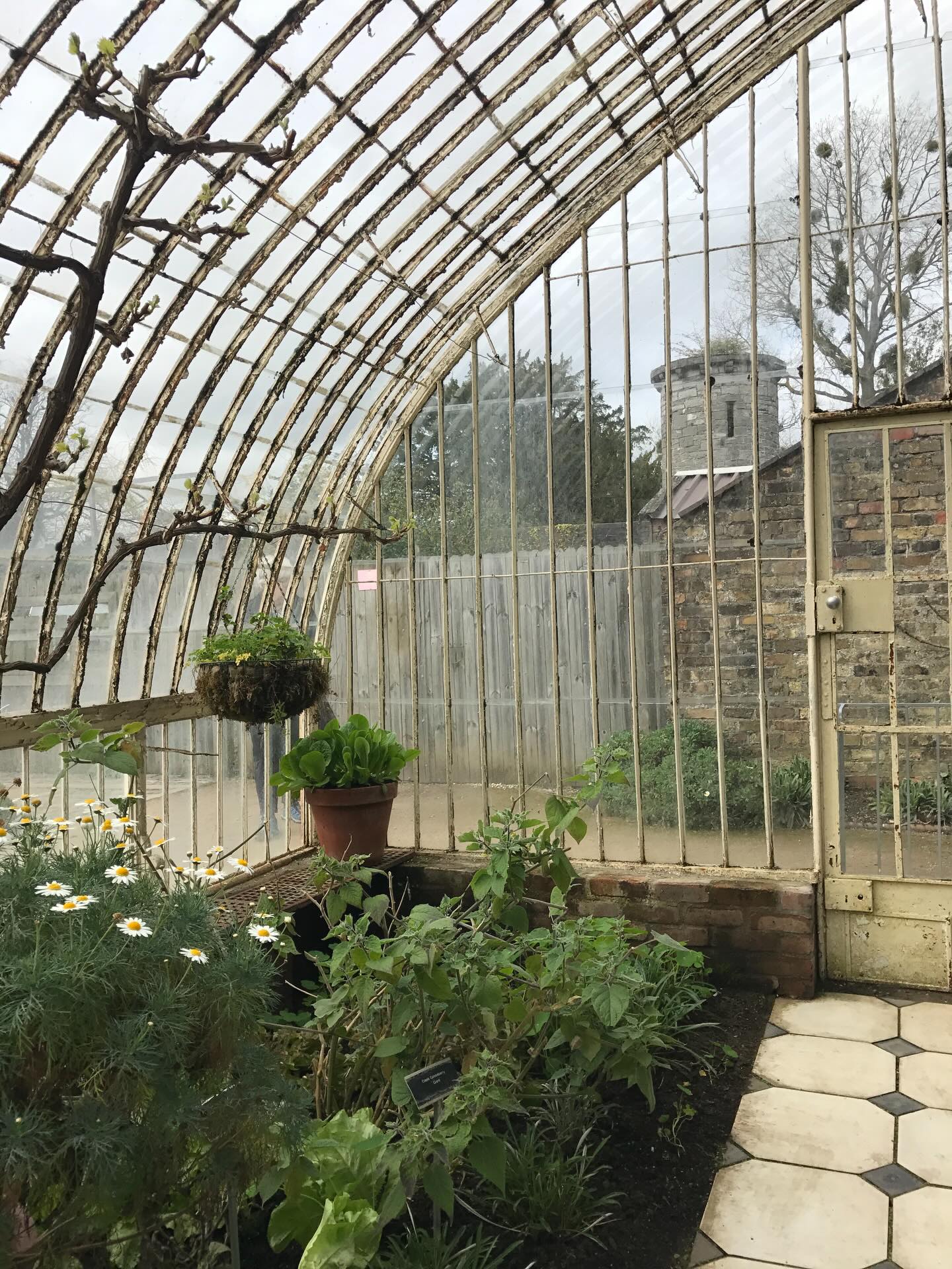 An ode to Ireland 🍀 and my sister who was born on this day in Dublin.
May your mornings bring joy
And your evenings bring peace
May your troubles grow less
And your blessings increase