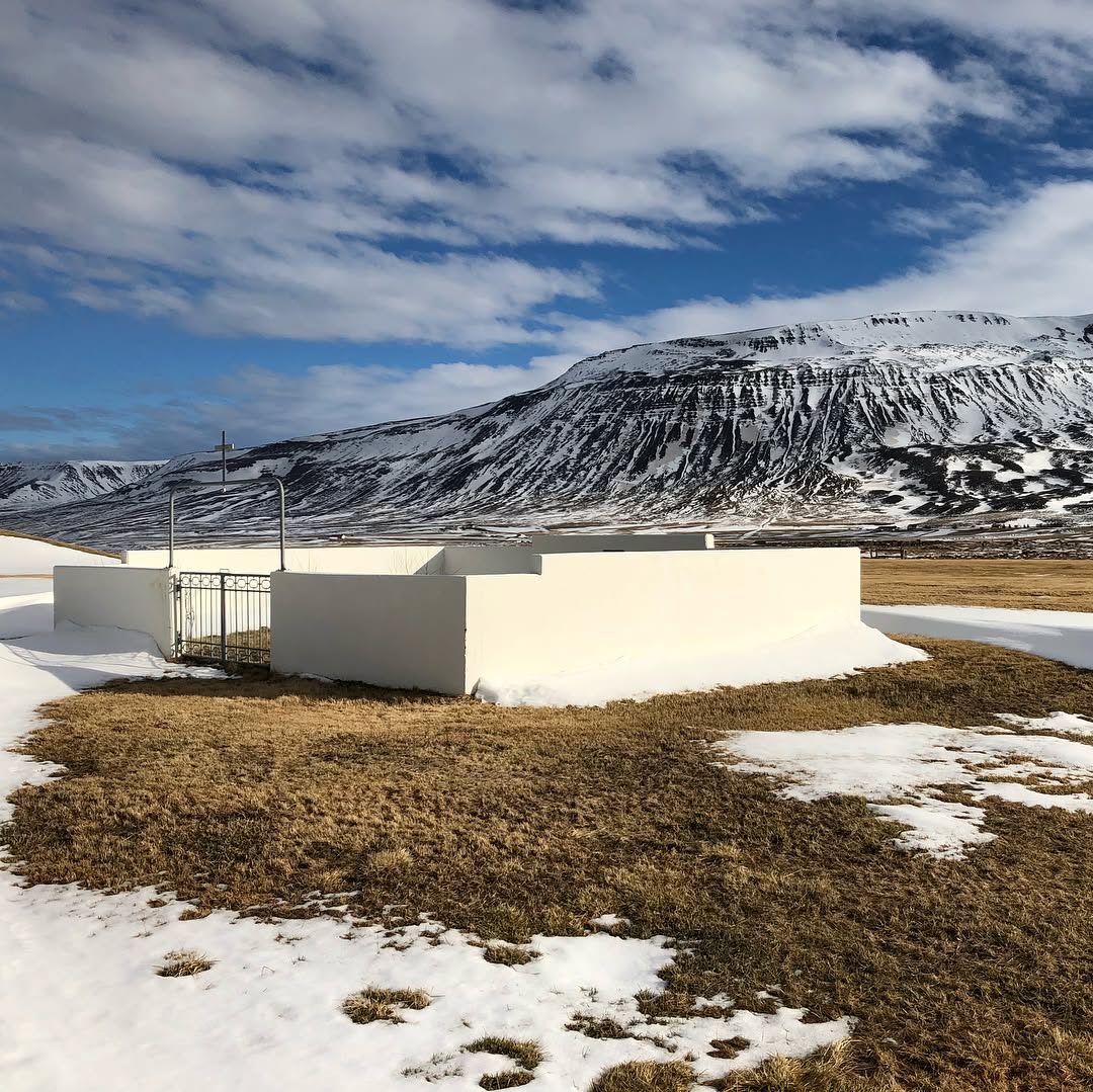 Spring is in the air after a tough and dark winter!☀️