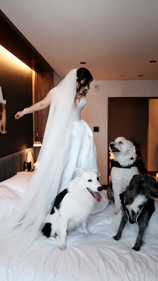 La boda de Nicole y Jonhy este fin de semana!!! Omg, pero que boda.
.
Qué boda tan increíble la de Nicole y Jonhy.
Divertida, romántica y con esa vibra tan suya que se sentía en el aire desde que empezó el día.
.
Hubo risas de las que contagian, miradas cómplices y momentos que simplemente pasaron demasiado rápido — (incluido el incidente que terminó con una ida a urgencias).
Los momentos en esta boda fueron justo como pasa cuando estás viviendo algo que de verdad importa. Ellos no se guardaron nada… se entregaron por completo a su día, a su gente y a su historia.
.
Bride. @nicoleprtllo
Groom. @jonhyelizondo
.
Photo&Film. @bm.weddings
Wp. @gisele_weddingplanner
Venue. @quinta_terracota
Mua. @pamdavenportmakeup
.
#weddingvideo #weddingidea #weddinginspiration #weddingfilmmaker #weddingday