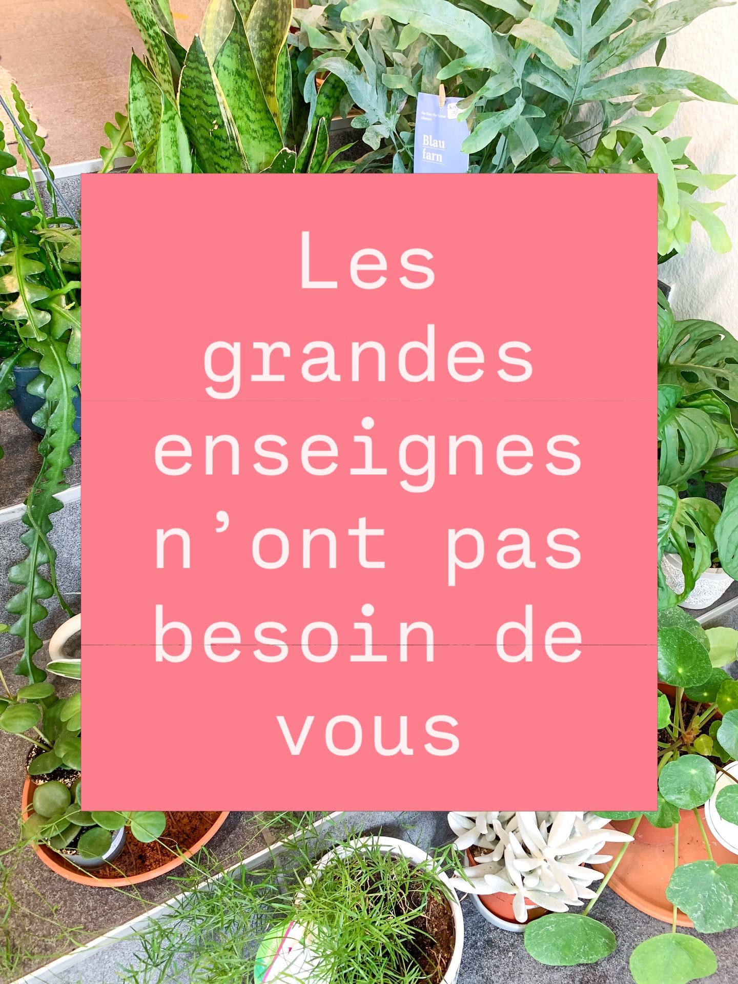 On préfère être honnêtes : les petits commerces ne vivent pas une période facile.
Les lieux indépendants, associatifs ou artisanaux ne tiennent que grâce aux personnes qui choisissent de les soutenir.
Chaque visite, chaque achat, chaque partage fait une vraie différence.
Alors si vous avez envie de soutenir la création locale, le plus simple est encore de passer nous voir à la boutique 💛